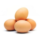 vajcia L 10ks podstielkový chov