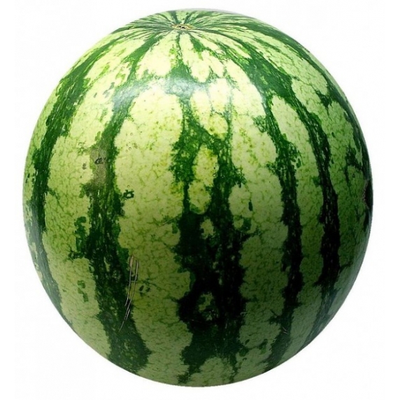 Melon Erveny