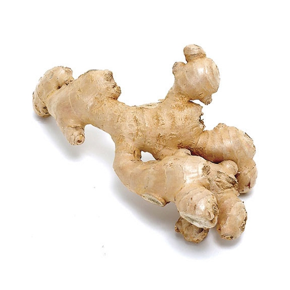 Zázvor 100g