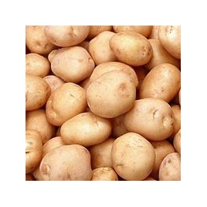 Zemiaky neskoré prané 1kg voľné 