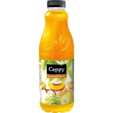 Cappy nektár 1l PET