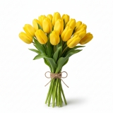 kytica 15 tulipánov