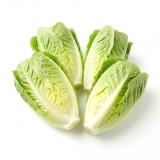 šalátové srdiečka 4ks