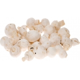 šampióny 250g balenie