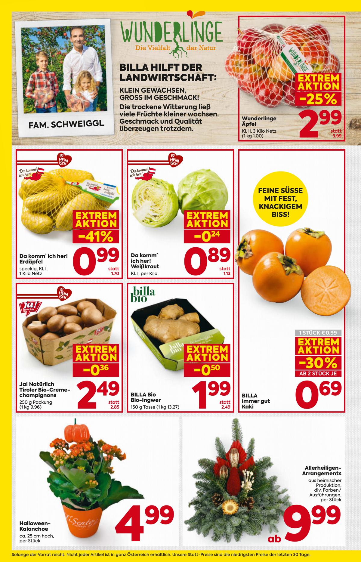 BILLA (AT) leaflet 006