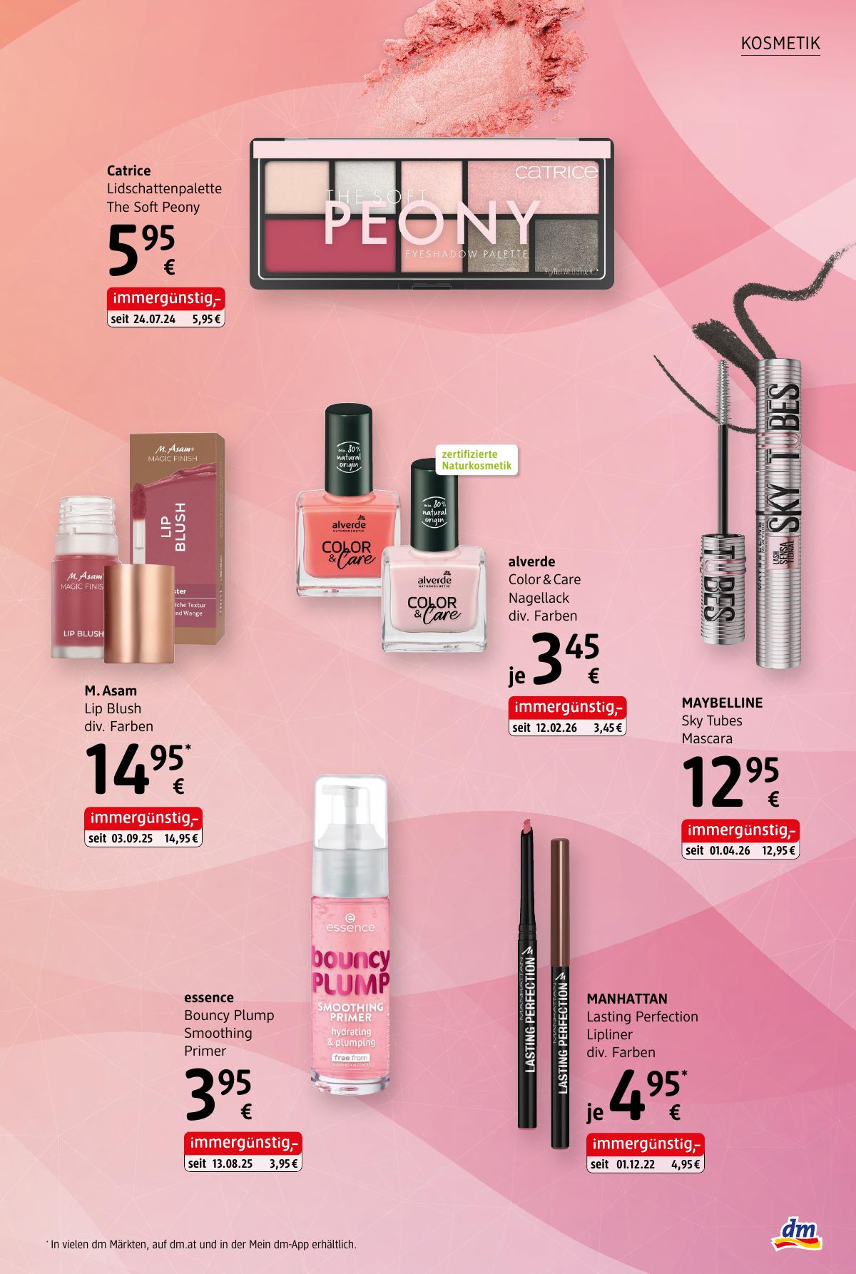 dm (AT) leaflet 013