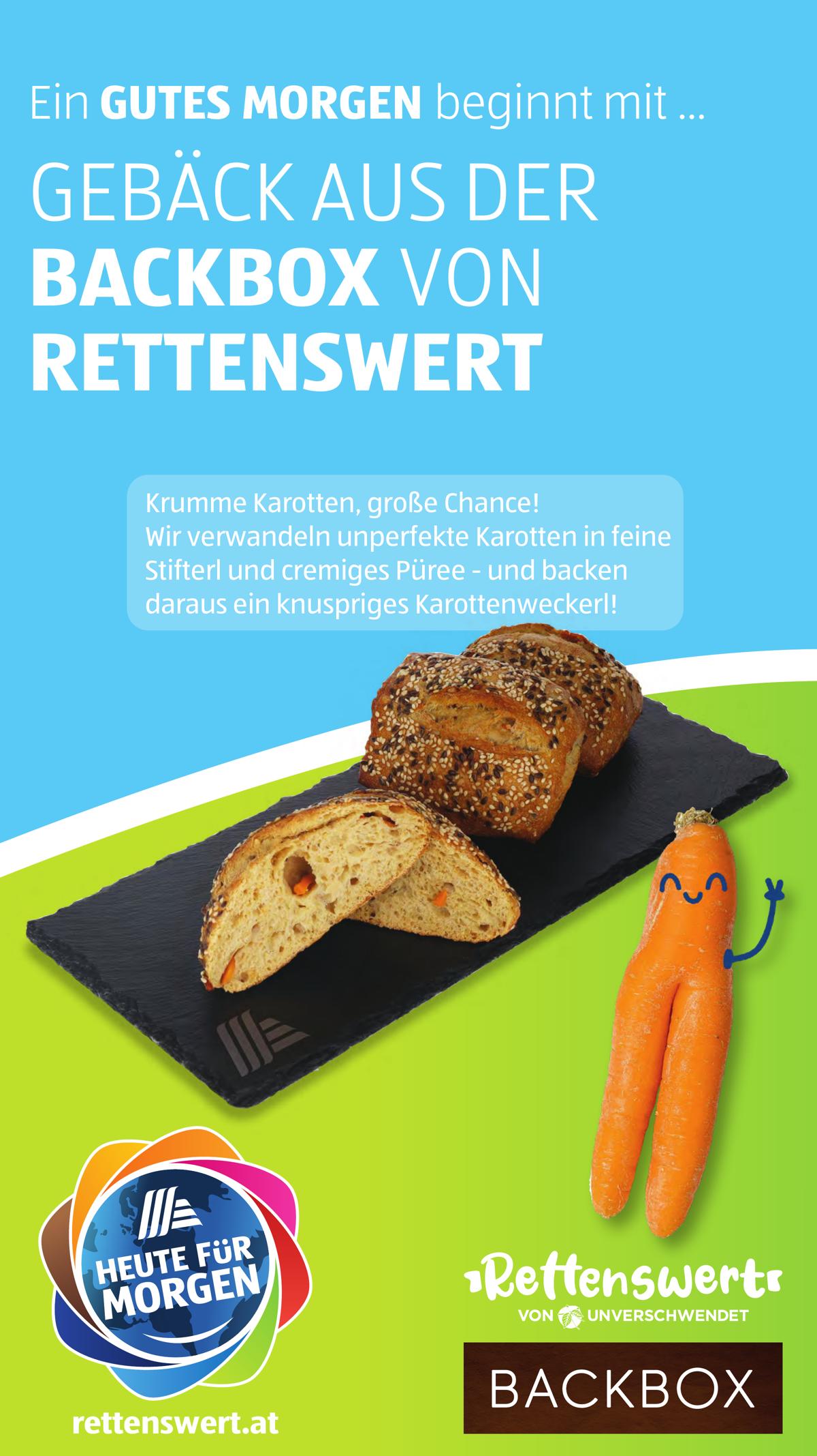 Hofer leaflet 022