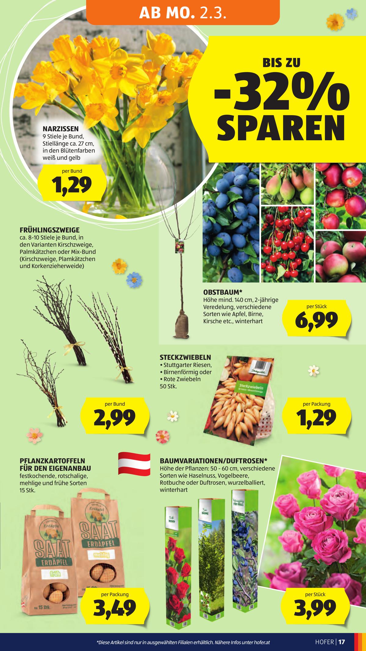 Hofer (AT) leaflet 021