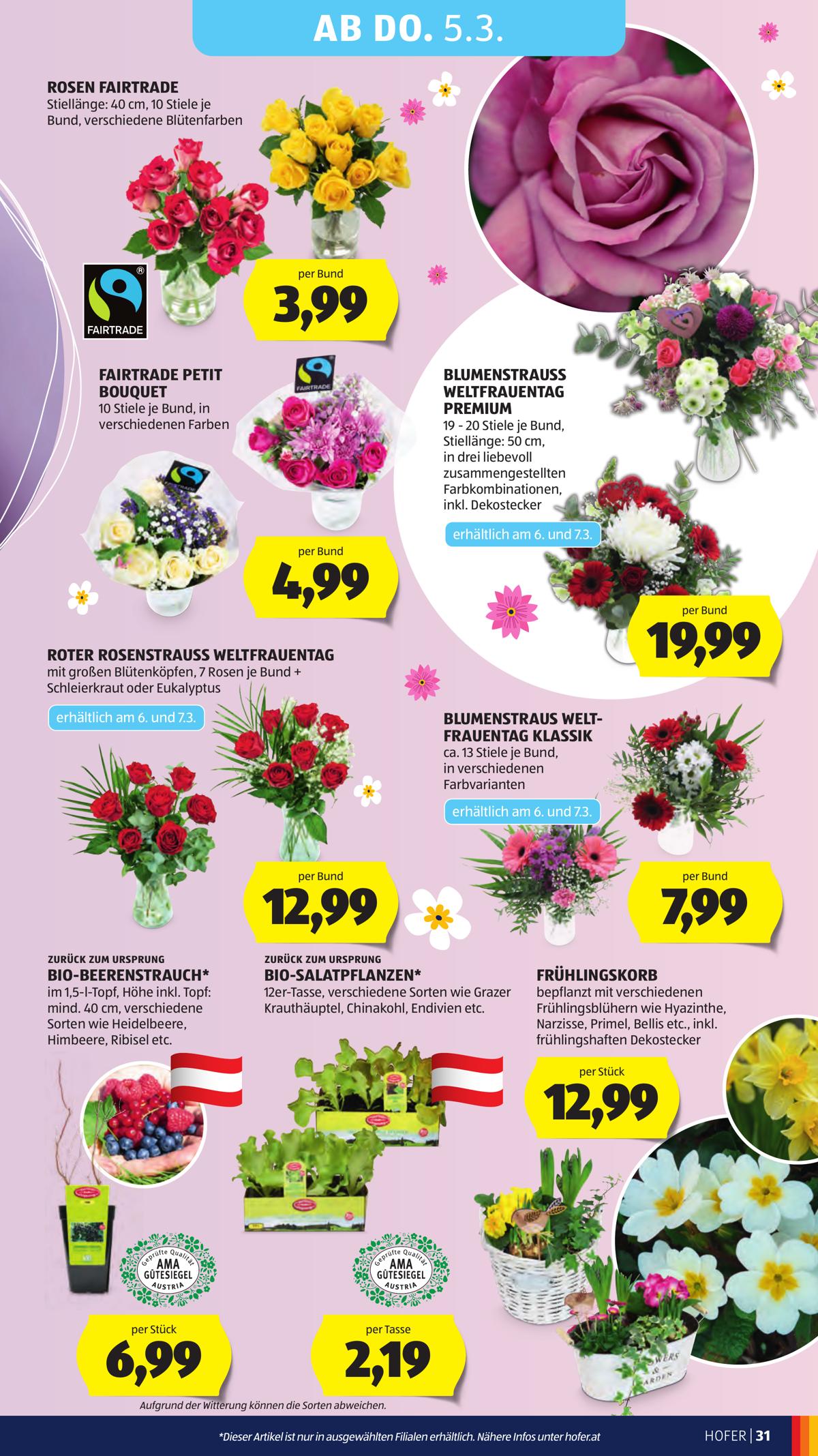 Hofer (AT) leaflet 035