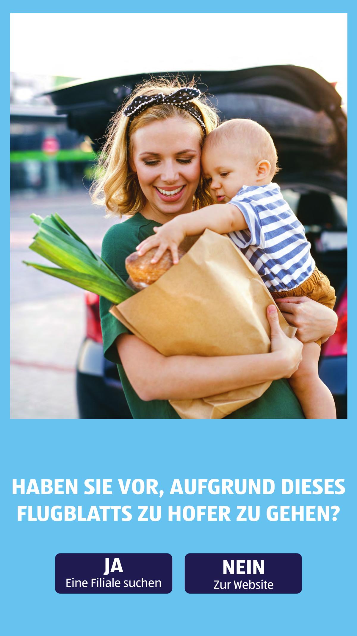 Hofer (AT) leaflet 041