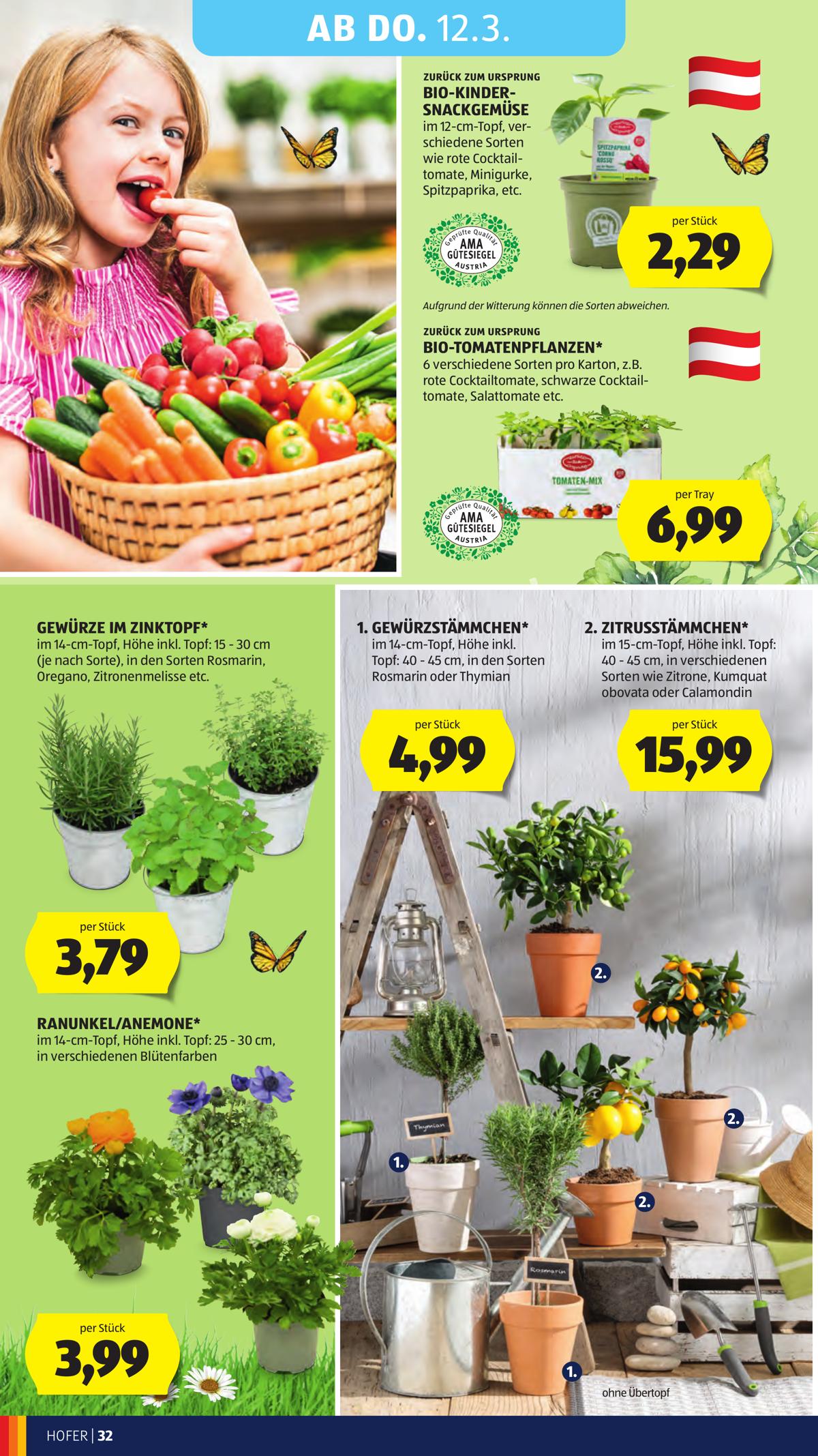 Hofer (AT) leaflet 040