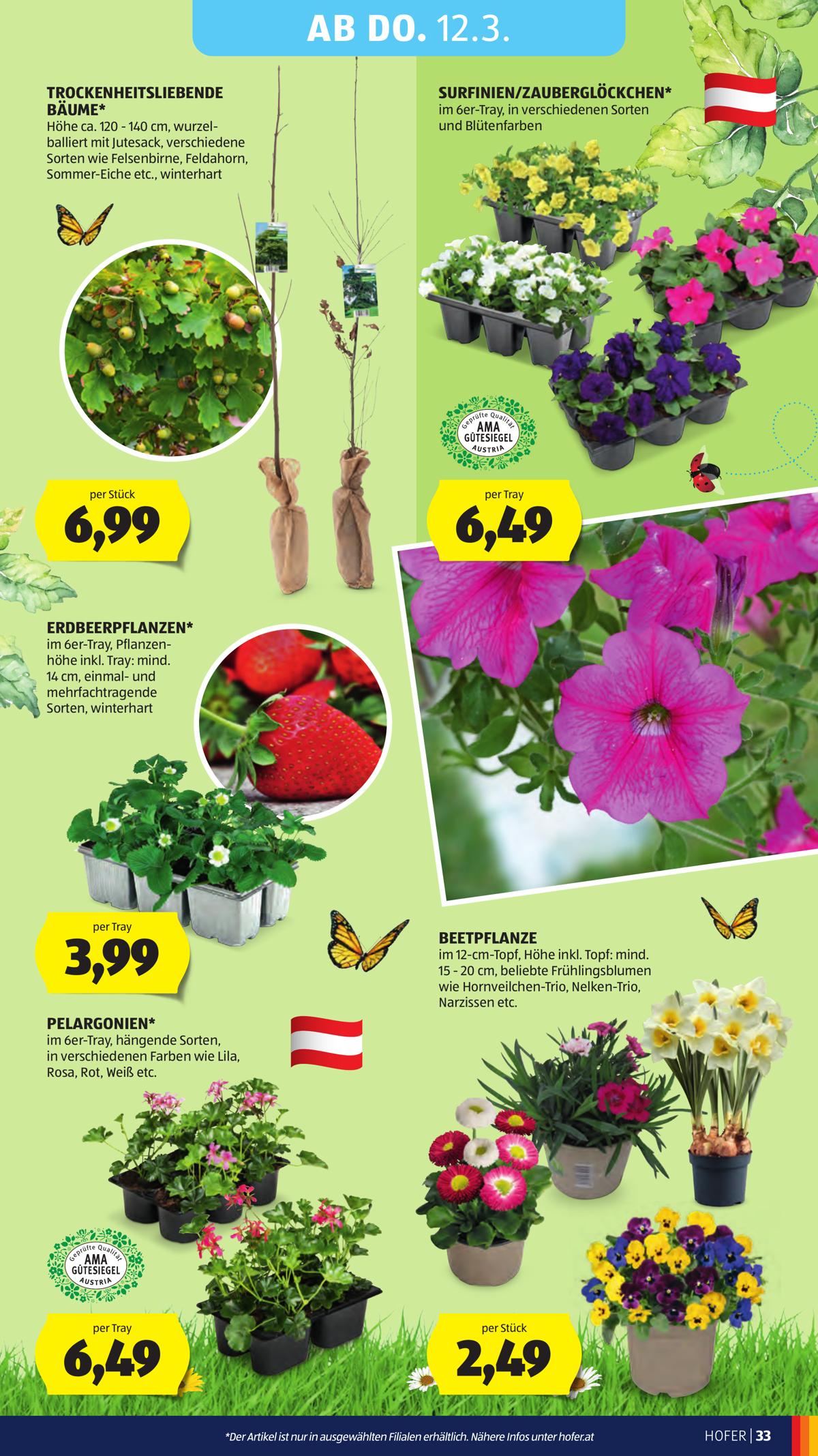 Hofer (AT) leaflet 041