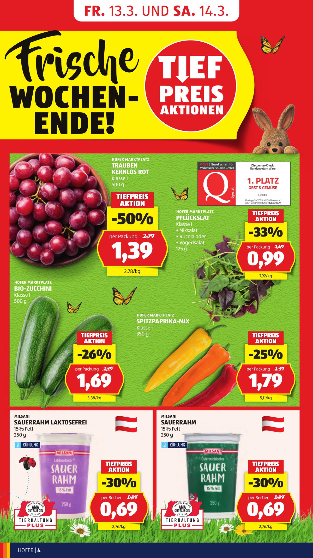 Hofer (AT) leaflet 006