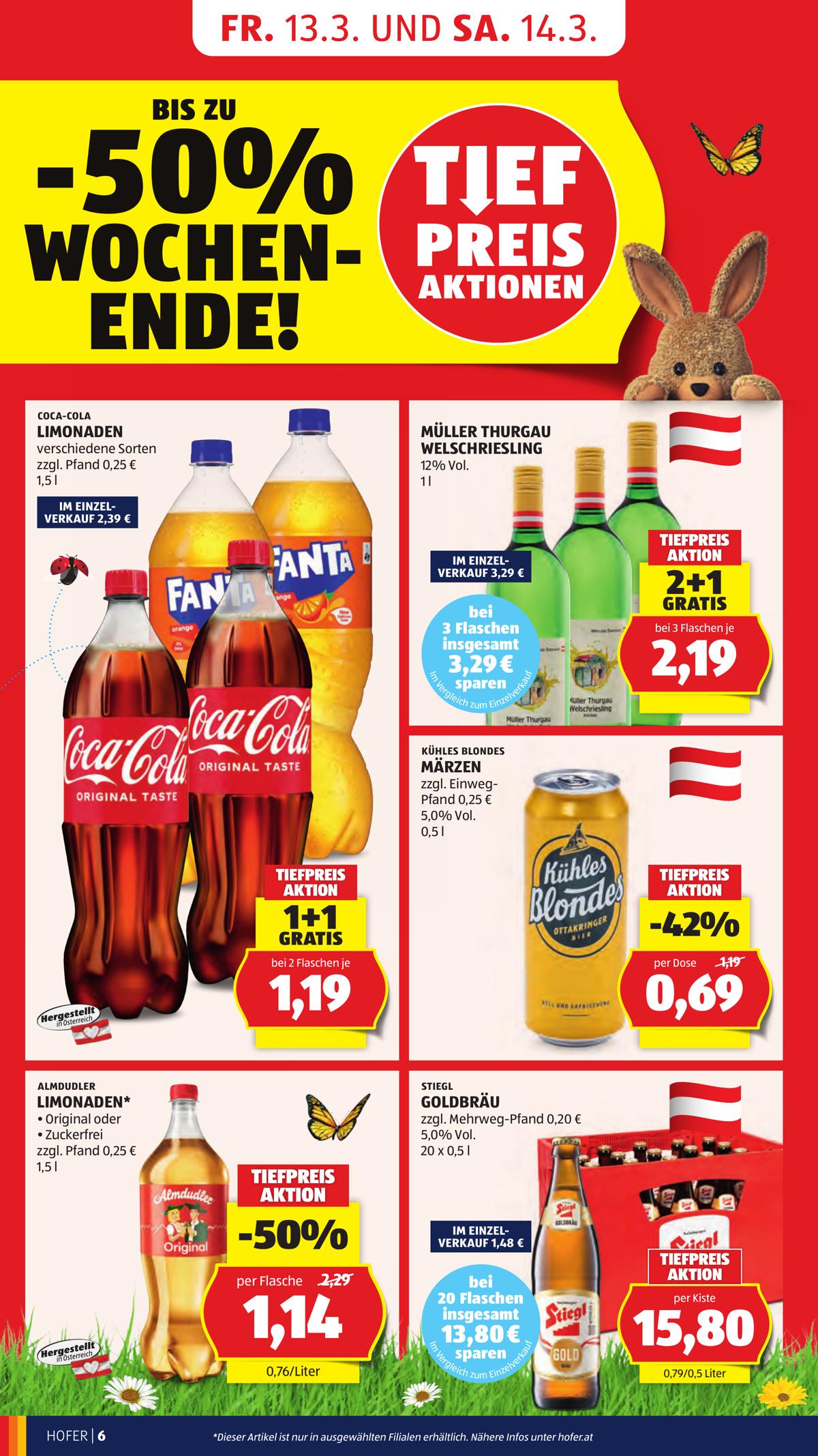 Hofer (AT) leaflet 008