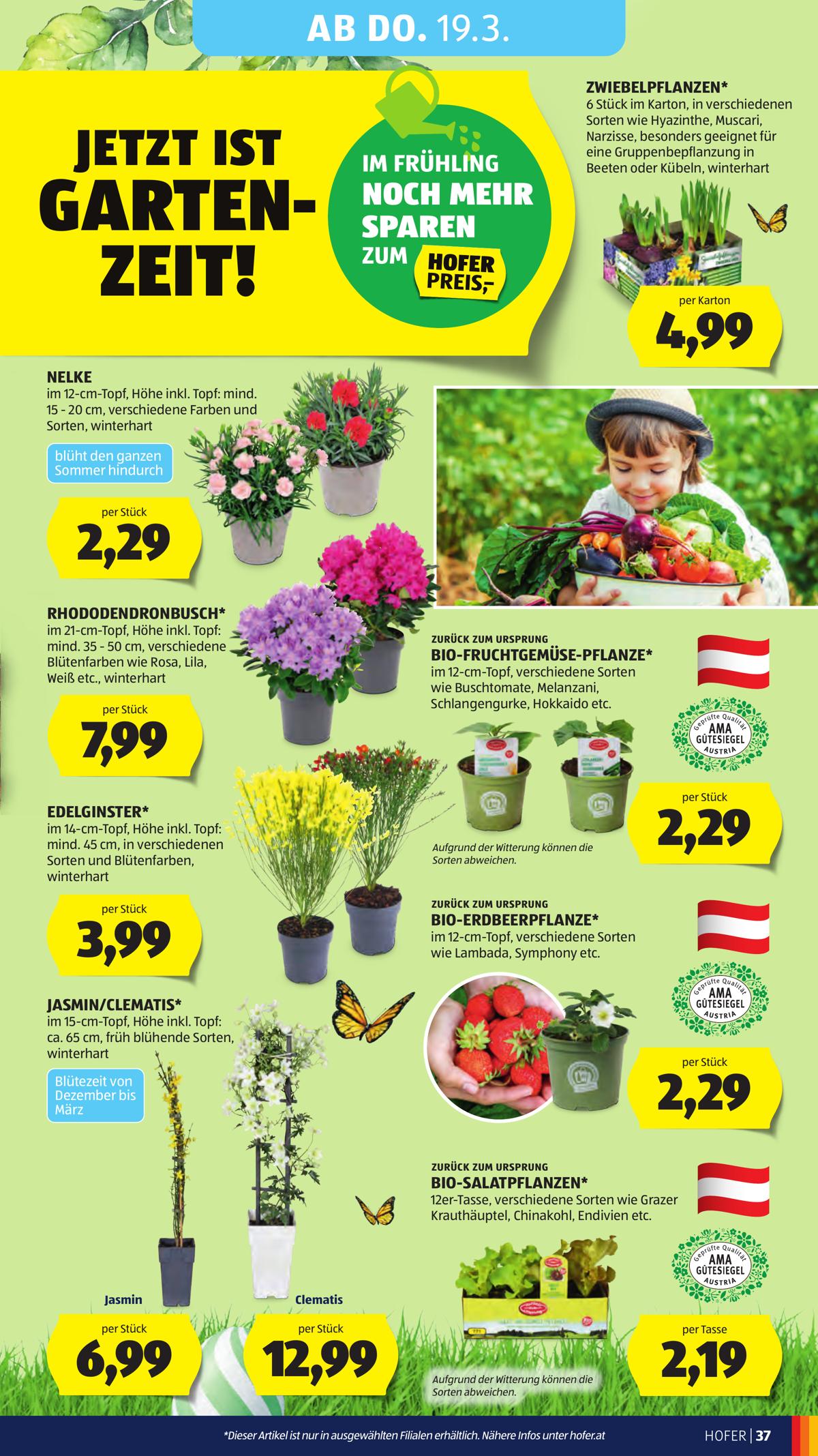 Hofer (AT) leaflet 044