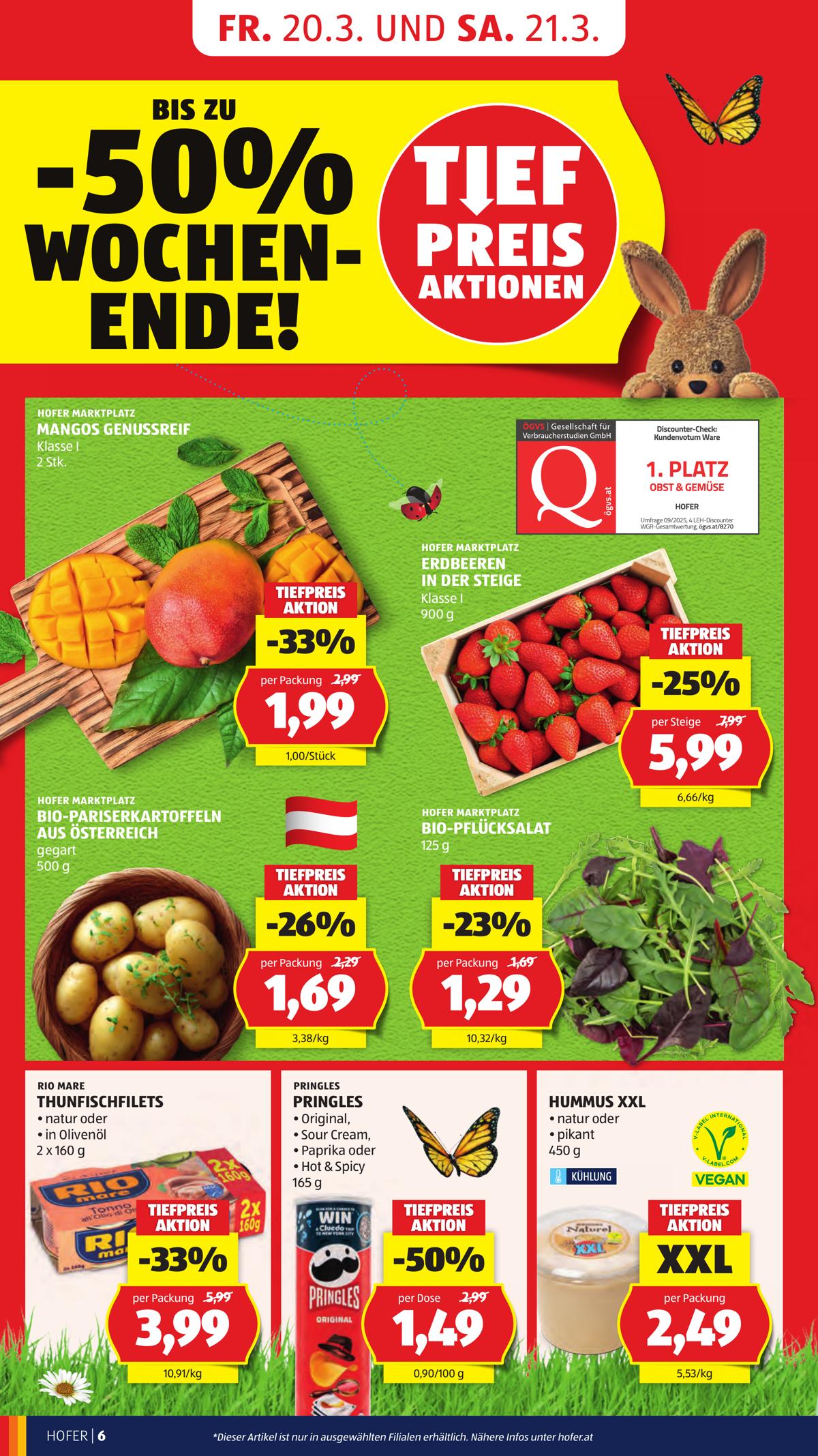 Hofer (AT) leaflet 008