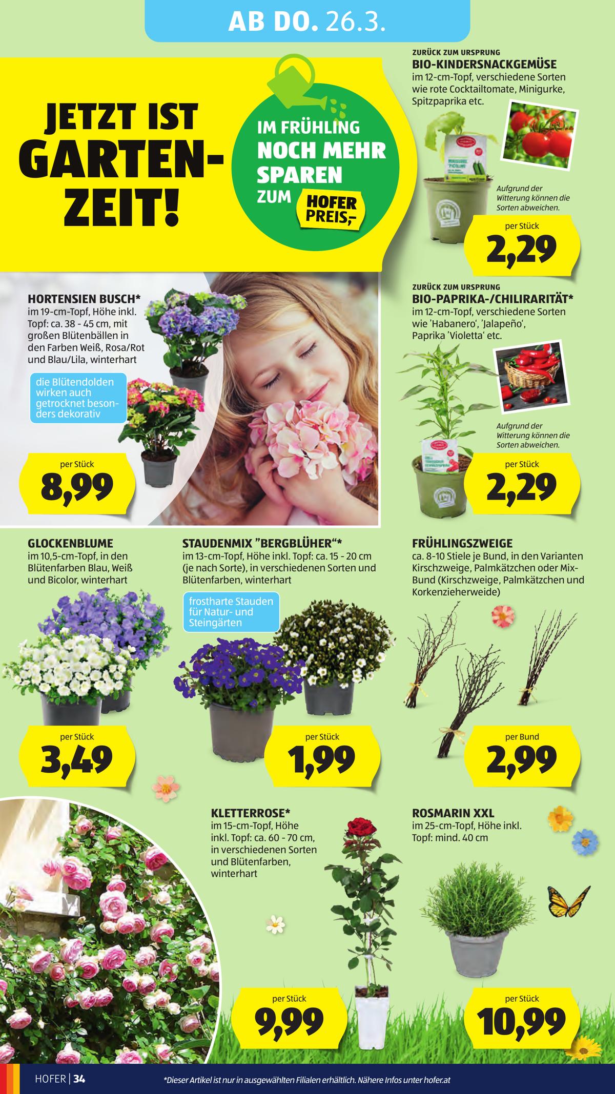 Hofer (AT) leaflet 042