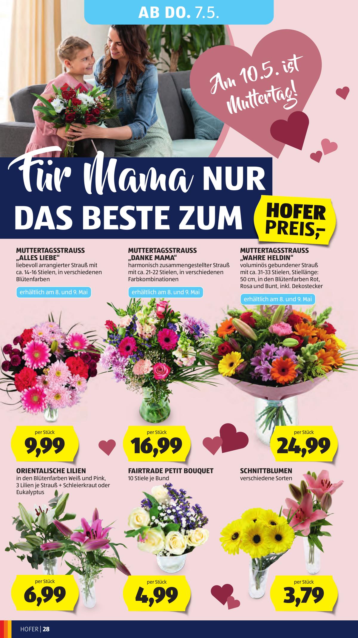 Hofer (AT) leaflet 034