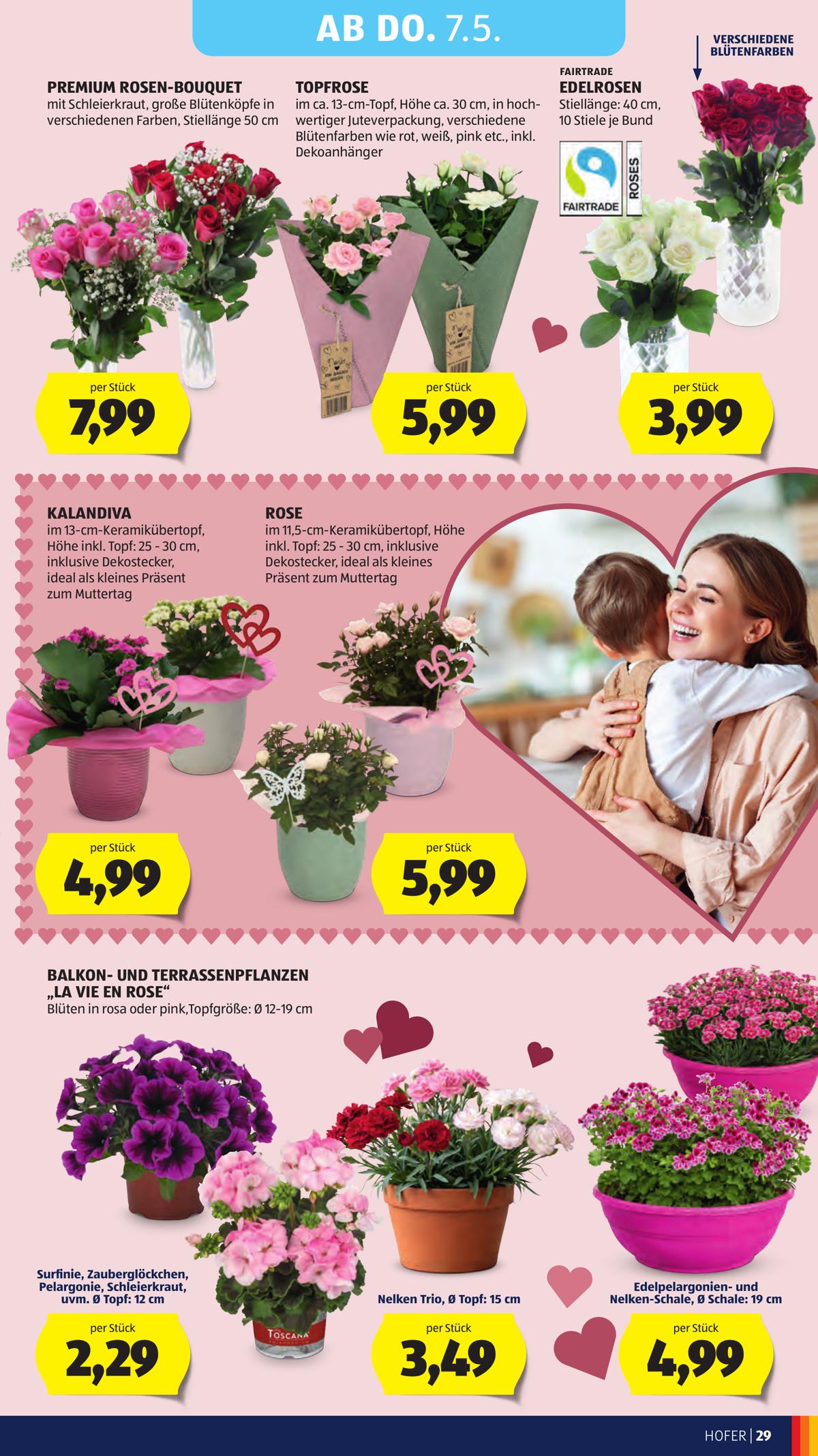 Hofer (AT) leaflet 035