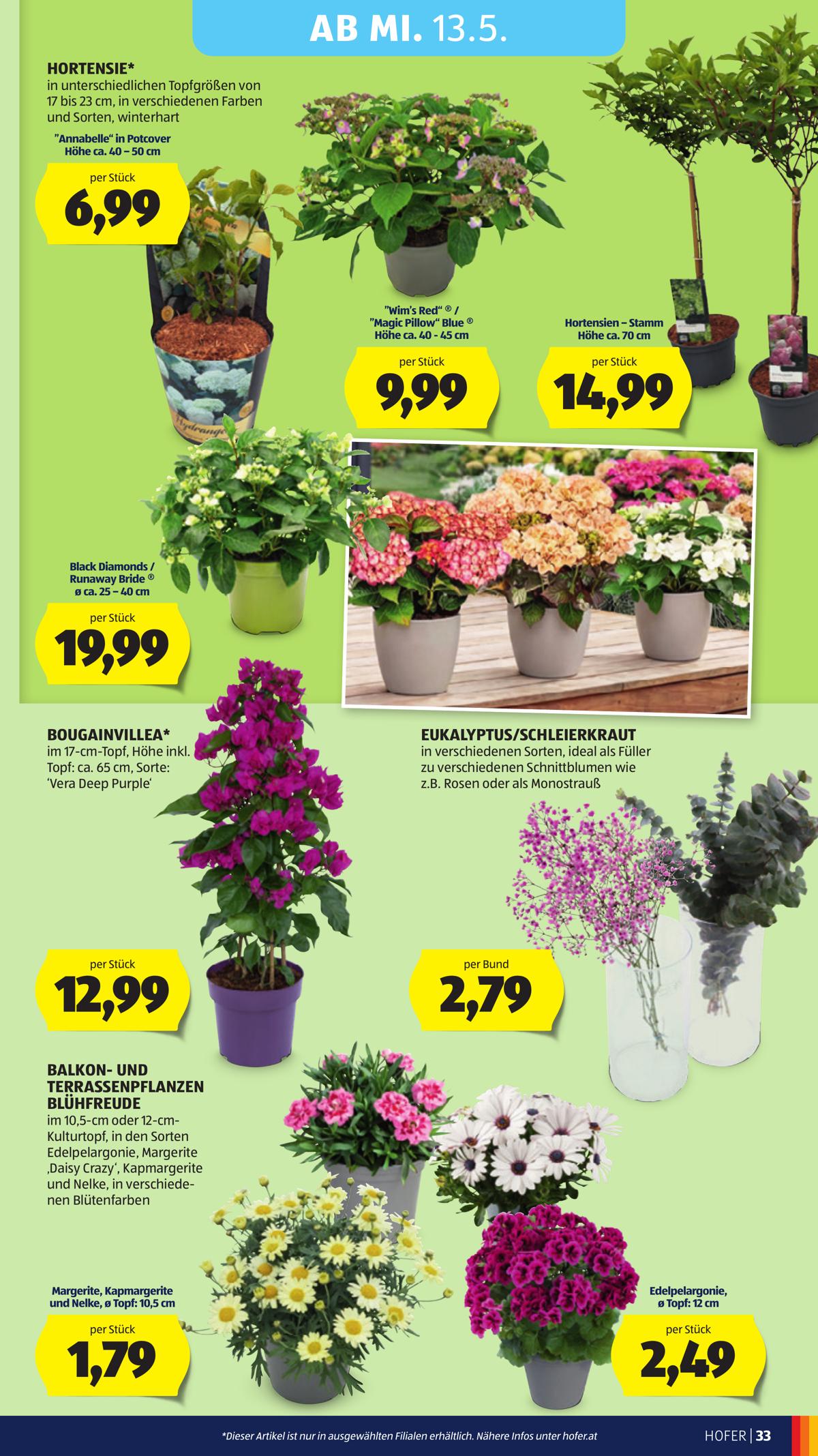 Hofer (AT) leaflet 039