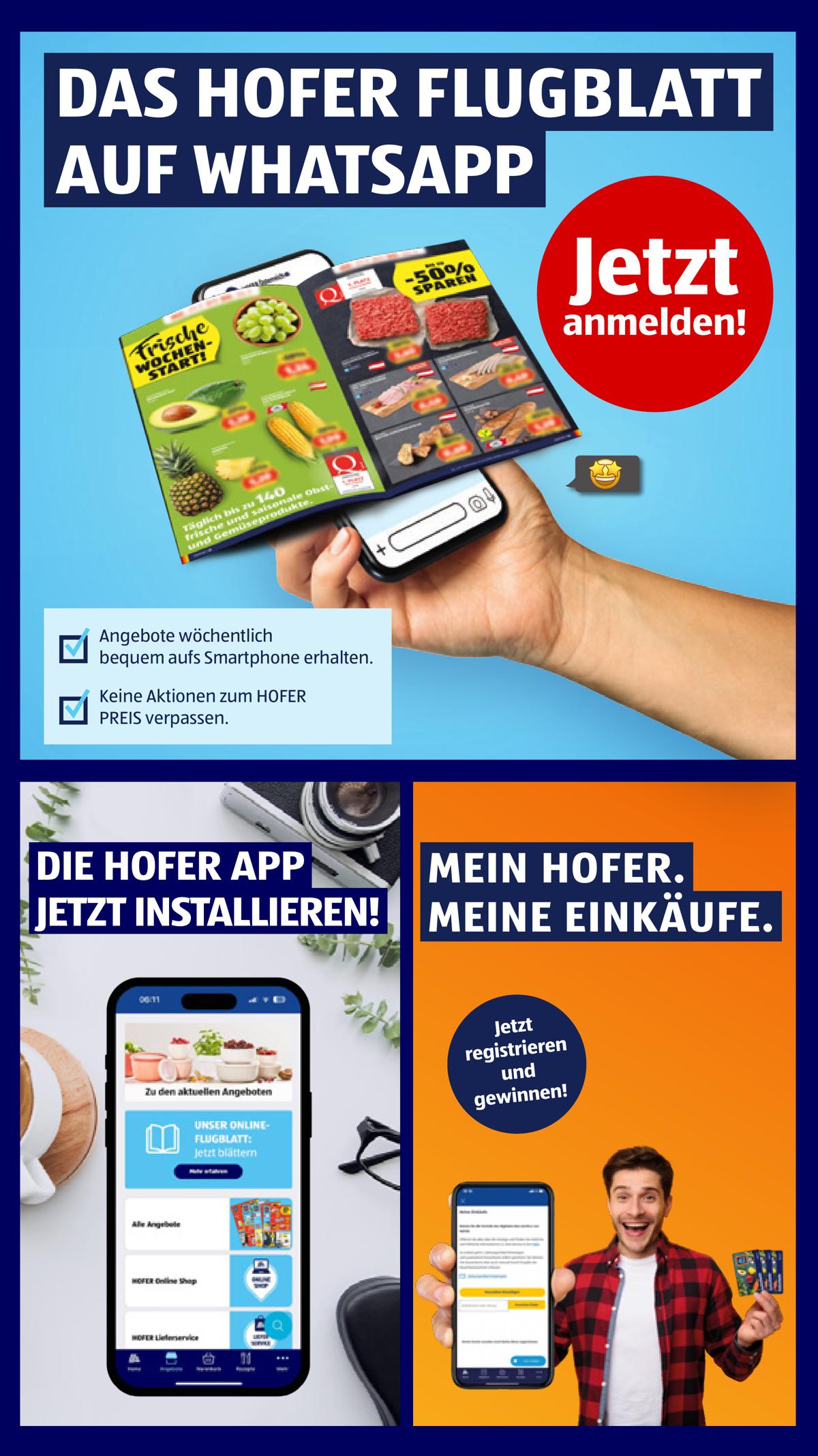 Hofer (AT) leaflet 003