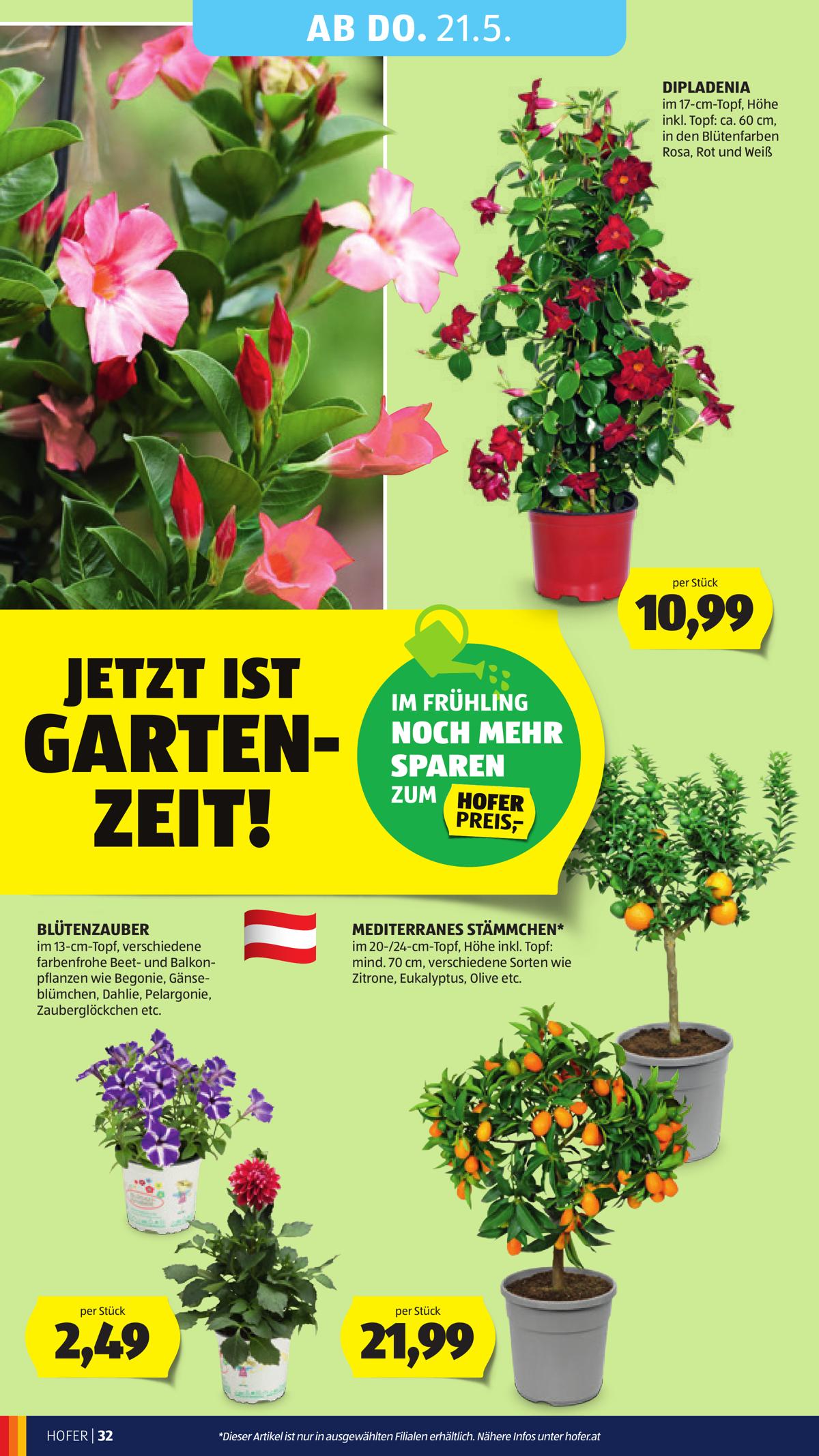 Hofer (AT) leaflet 038