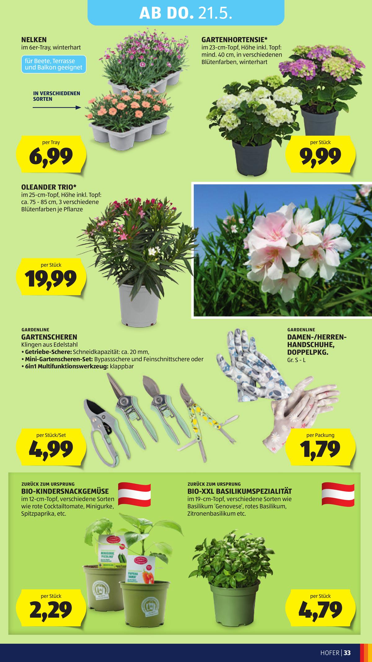 Hofer (AT) leaflet 039