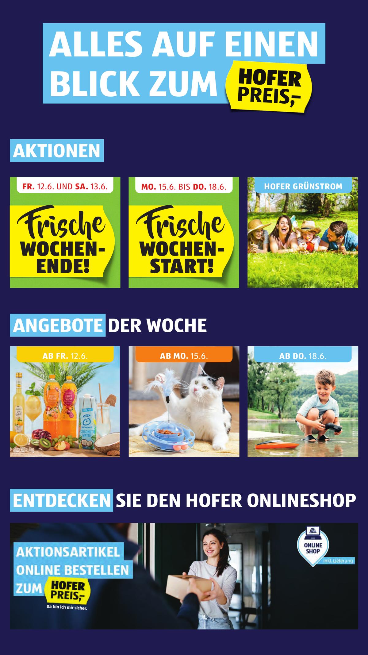 Hofer (AT) leaflet 002