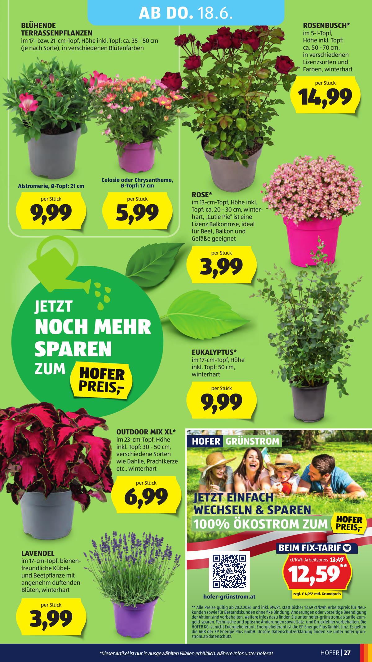 Hofer (AT) leaflet 031
