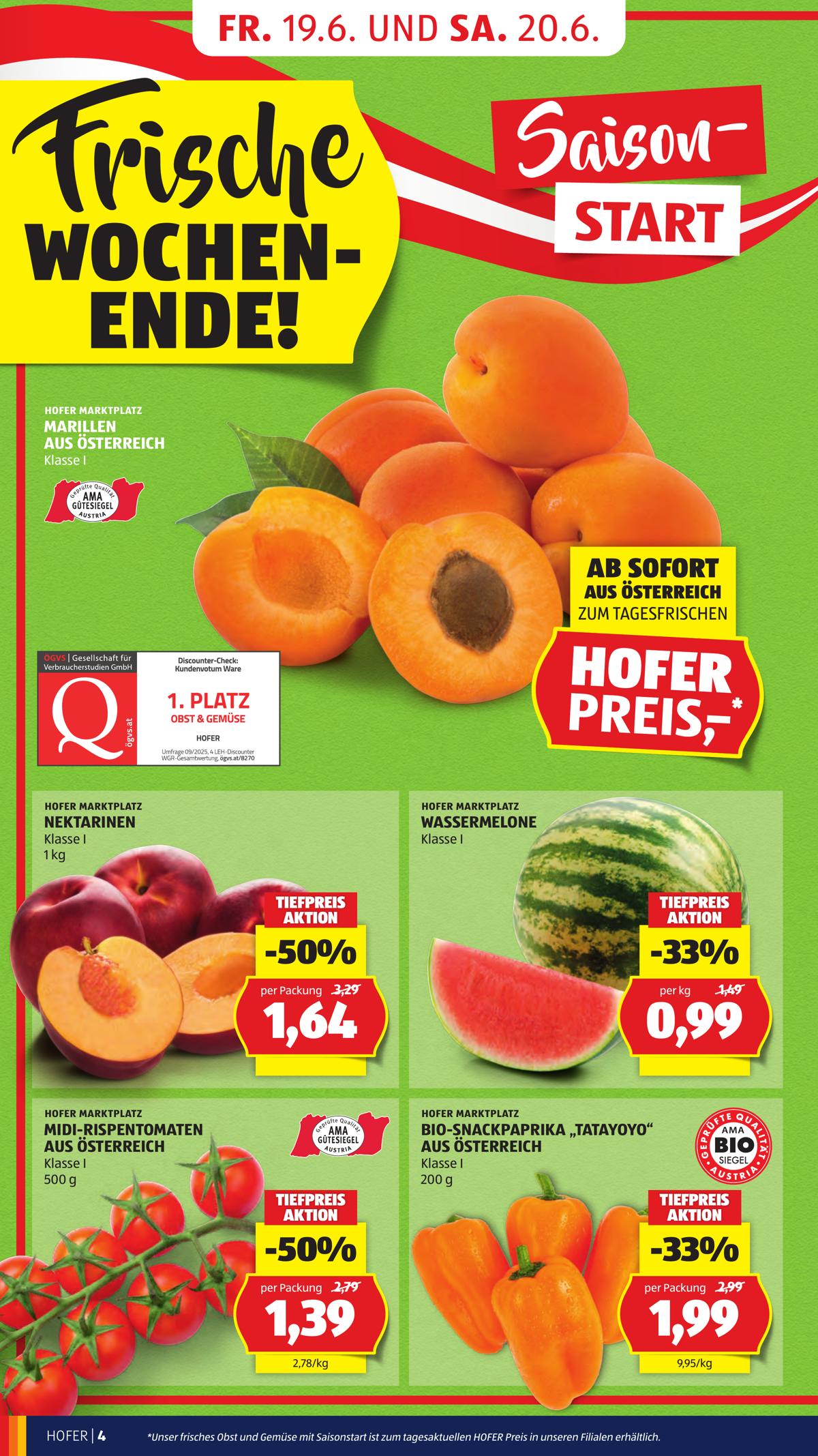 Hofer (AT) leaflet 008