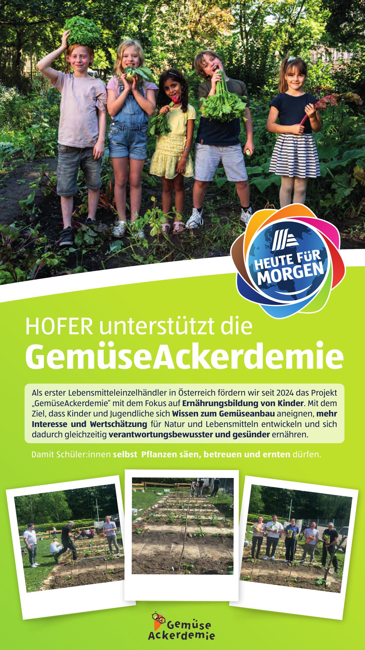 Hofer (AT) leaflet 021