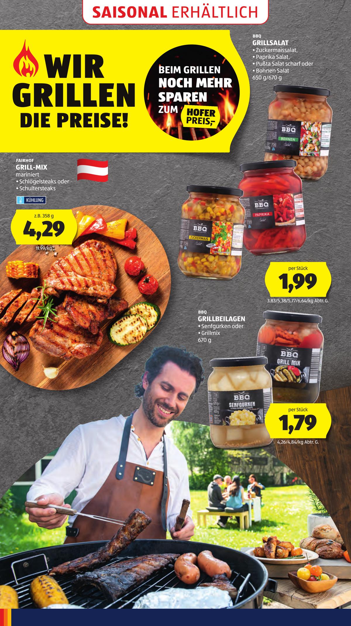 Hofer (AT) leaflet 046