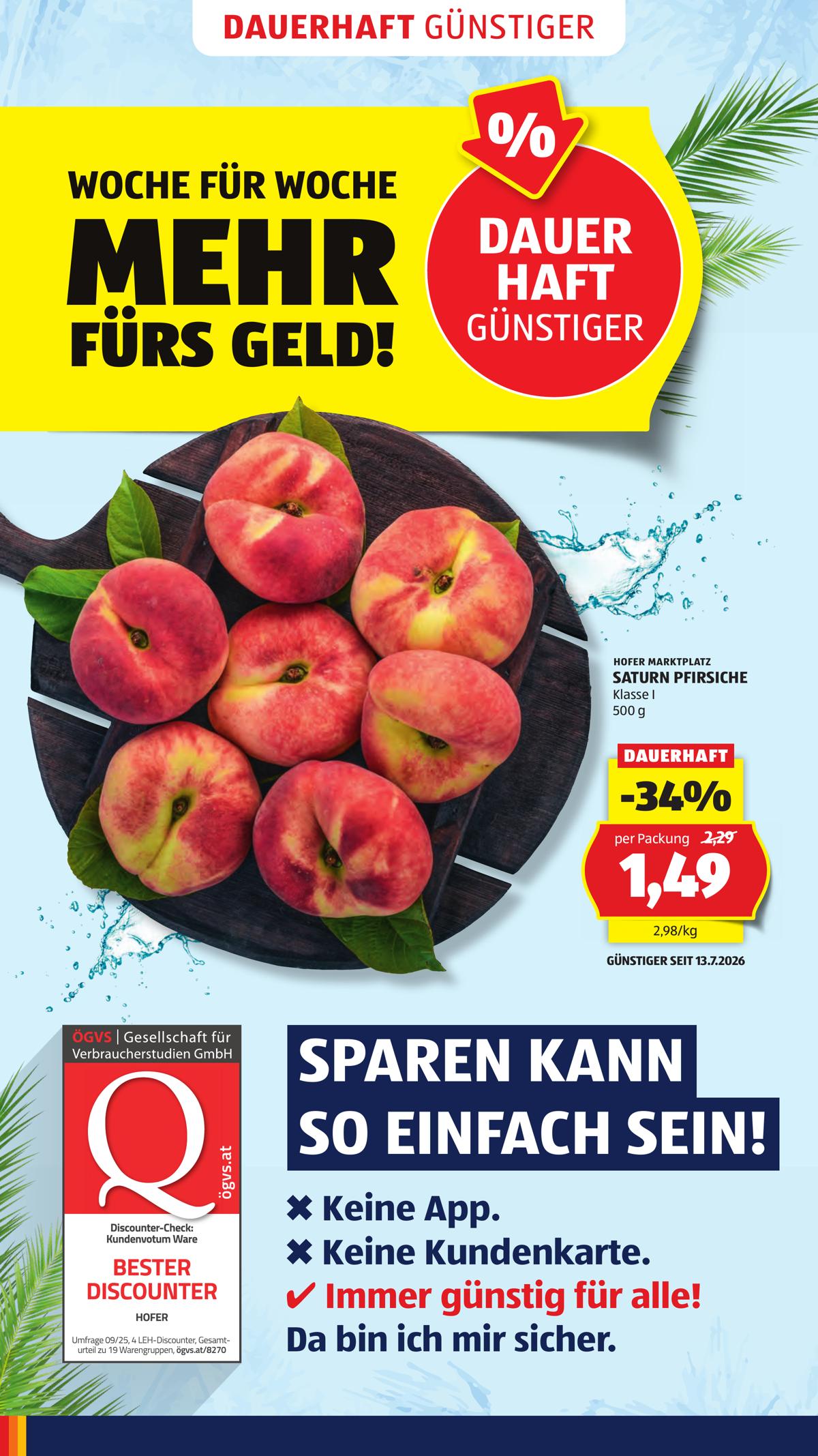 Hofer (AT) leaflet 032