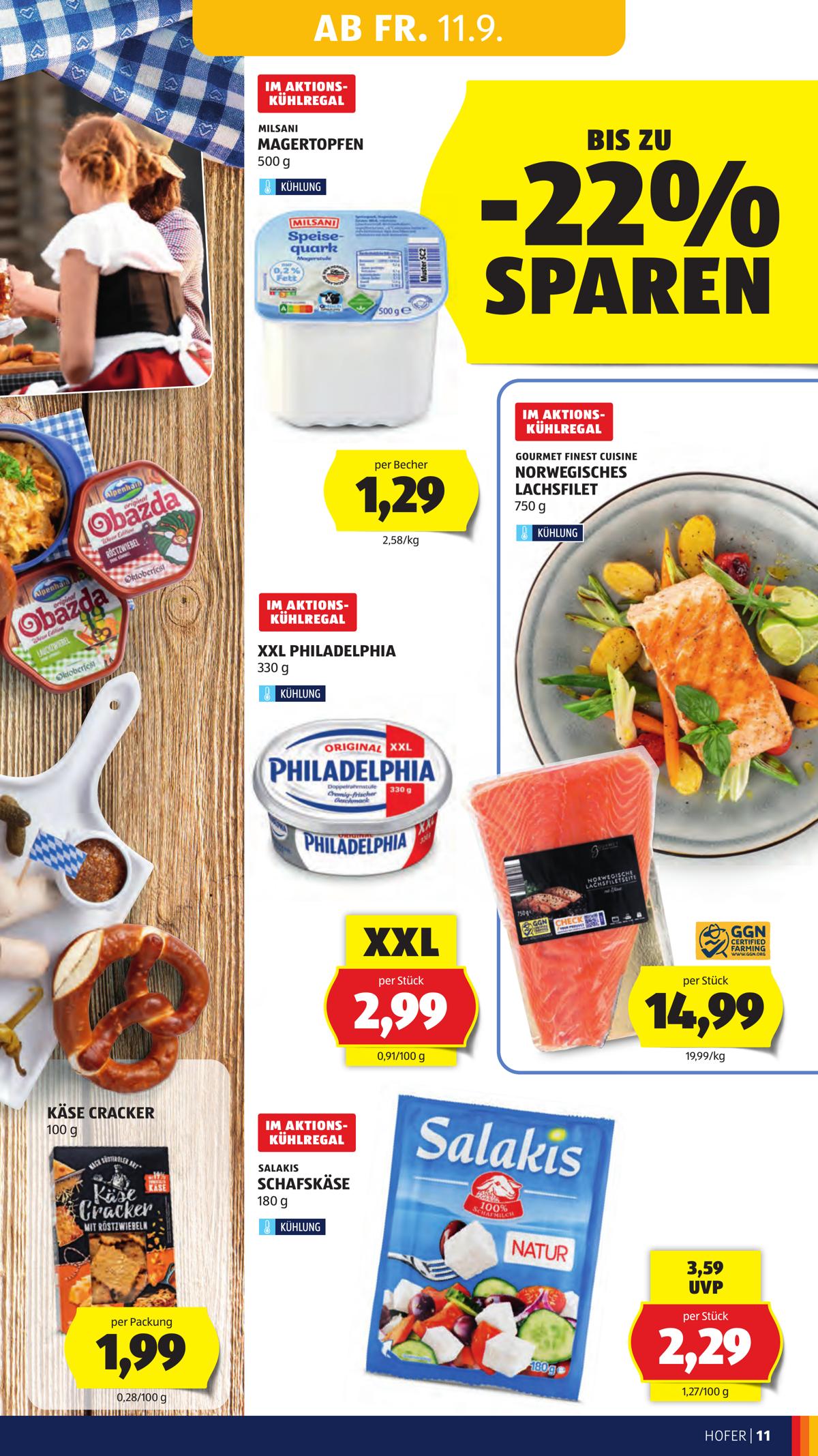 Hofer (AT) leaflet 019