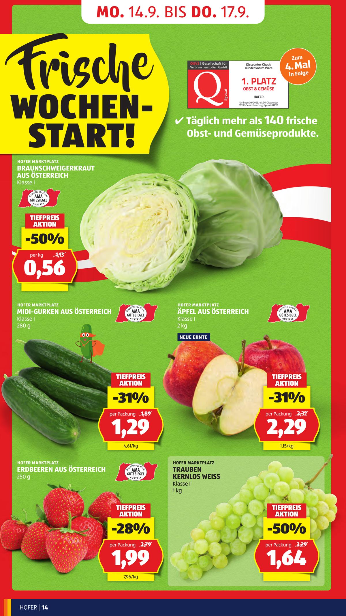 Hofer (AT) leaflet 022