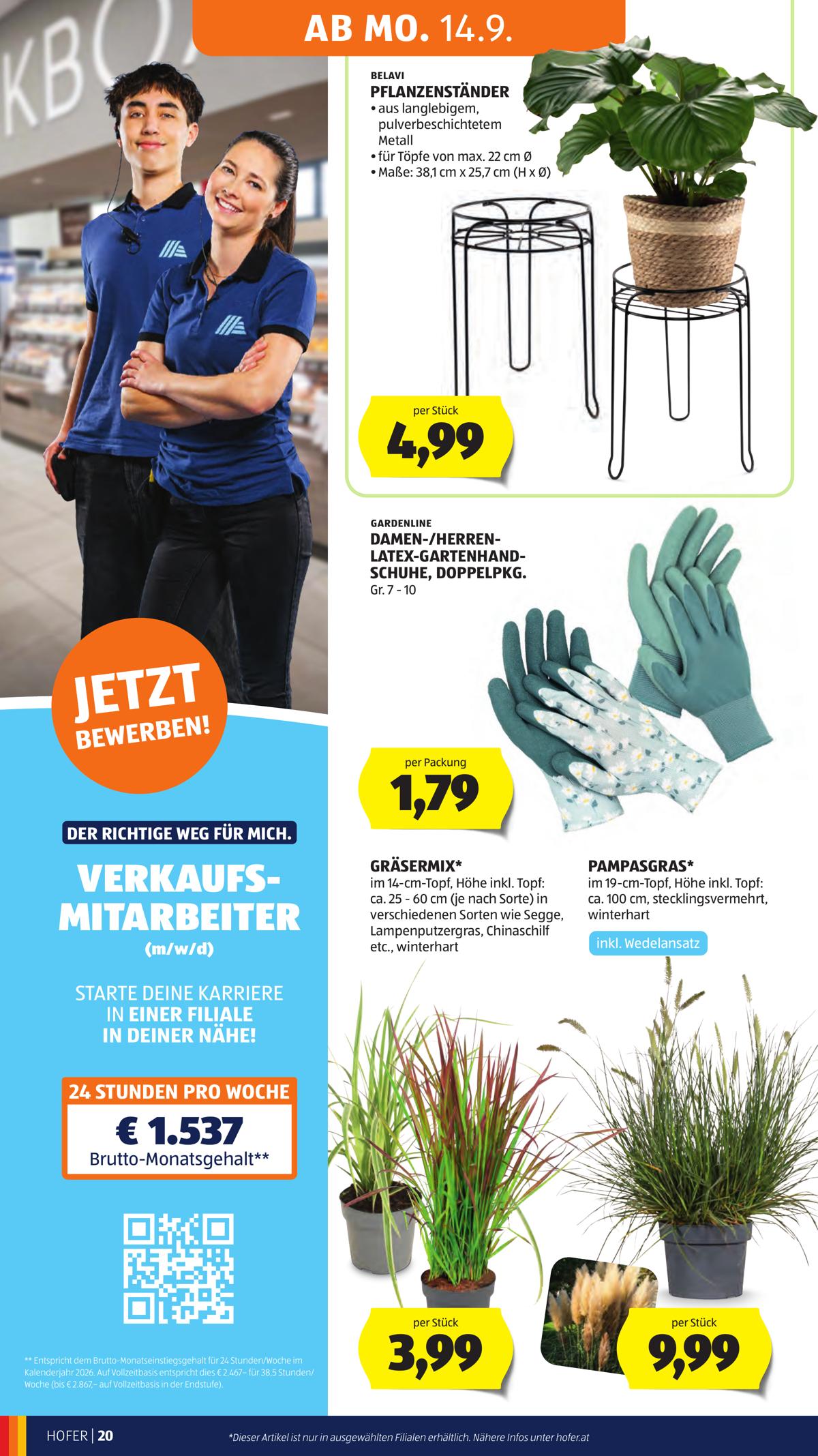 Hofer (AT) leaflet 030