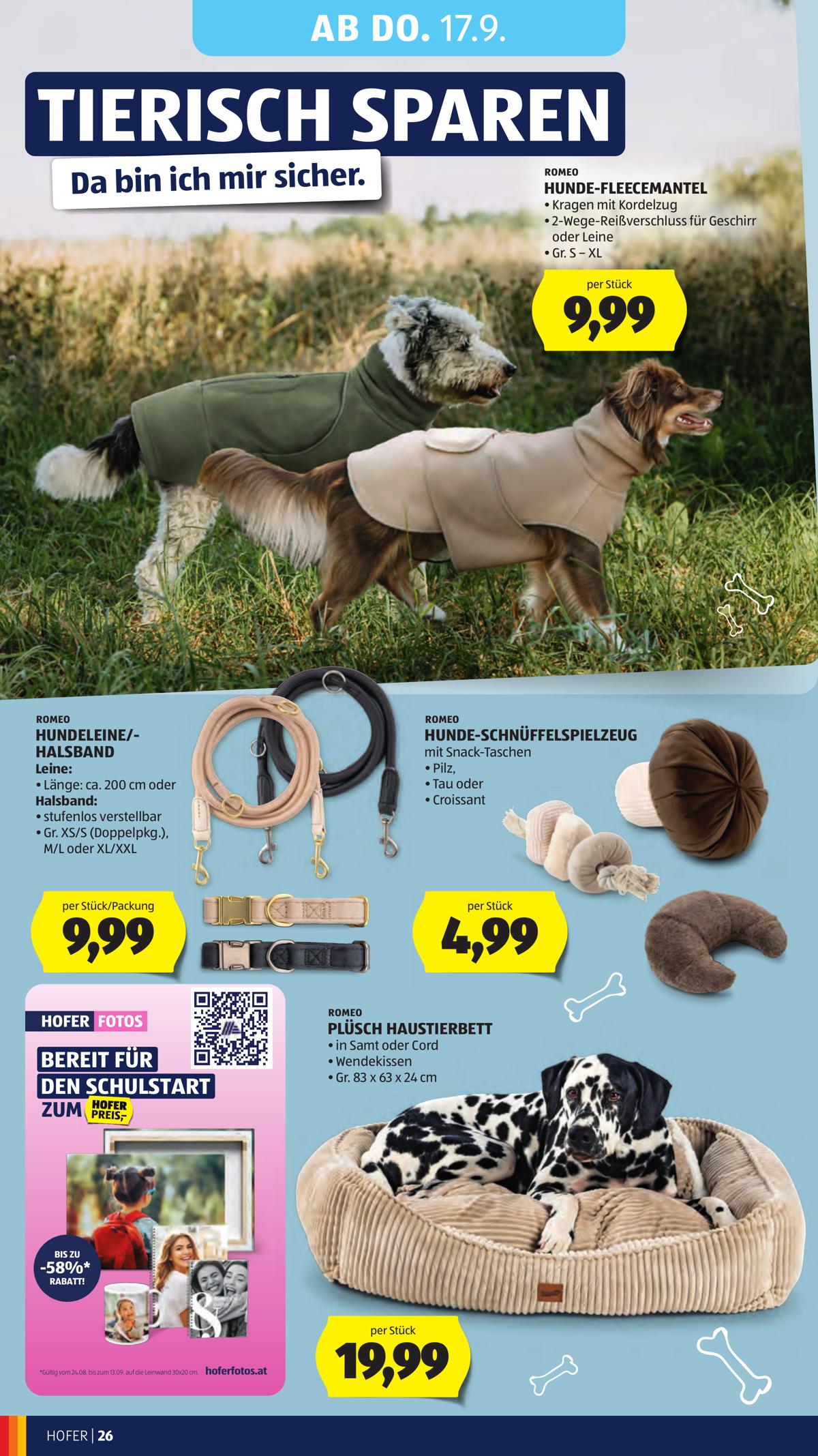 Hofer (AT) leaflet 036
