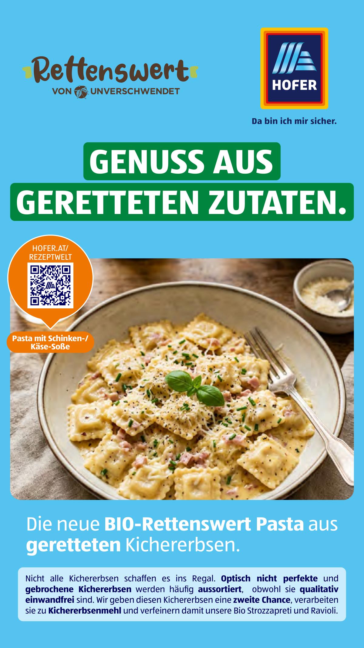 Hofer (AT) leaflet 047