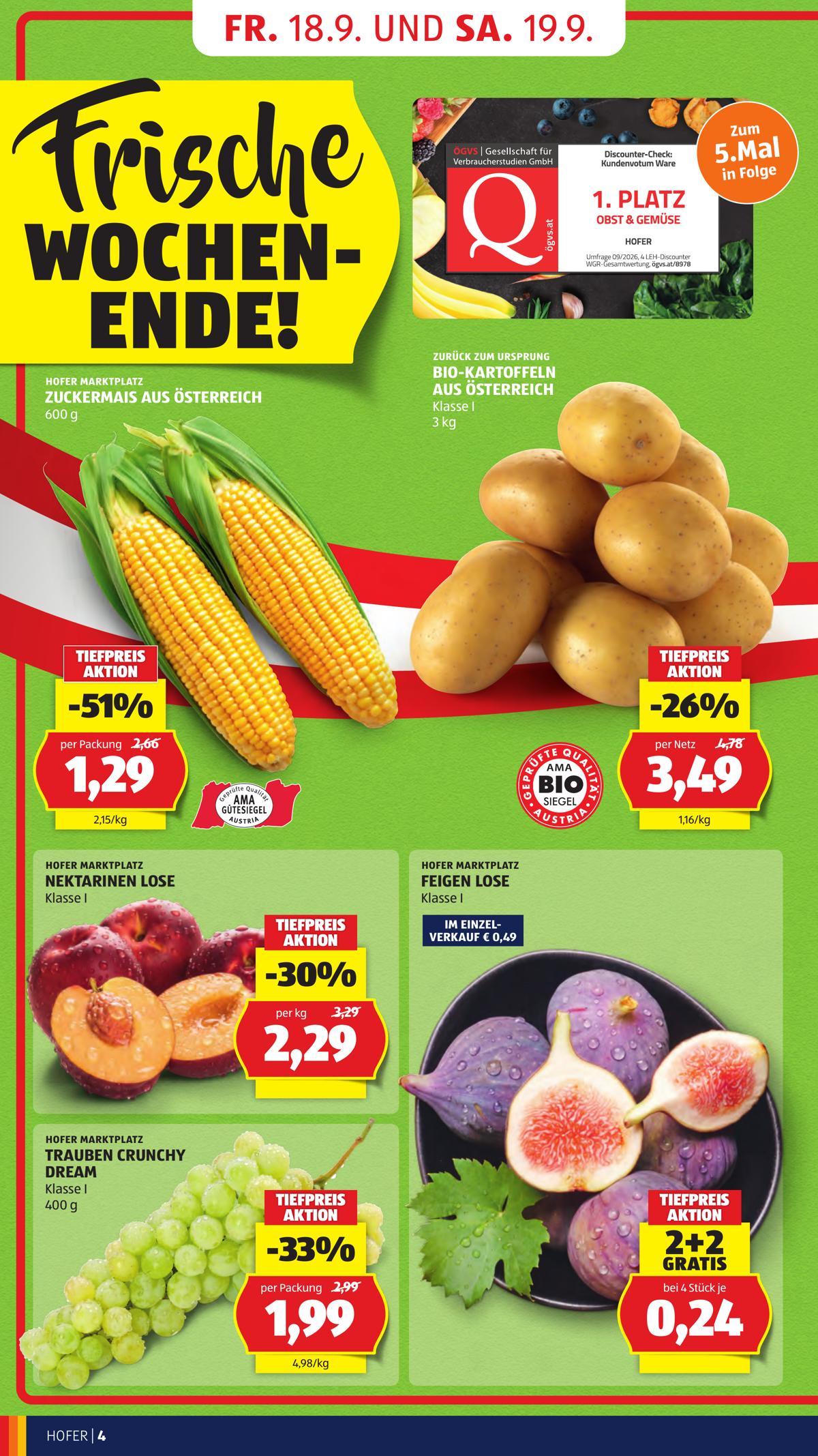 Hofer (AT) leaflet 008