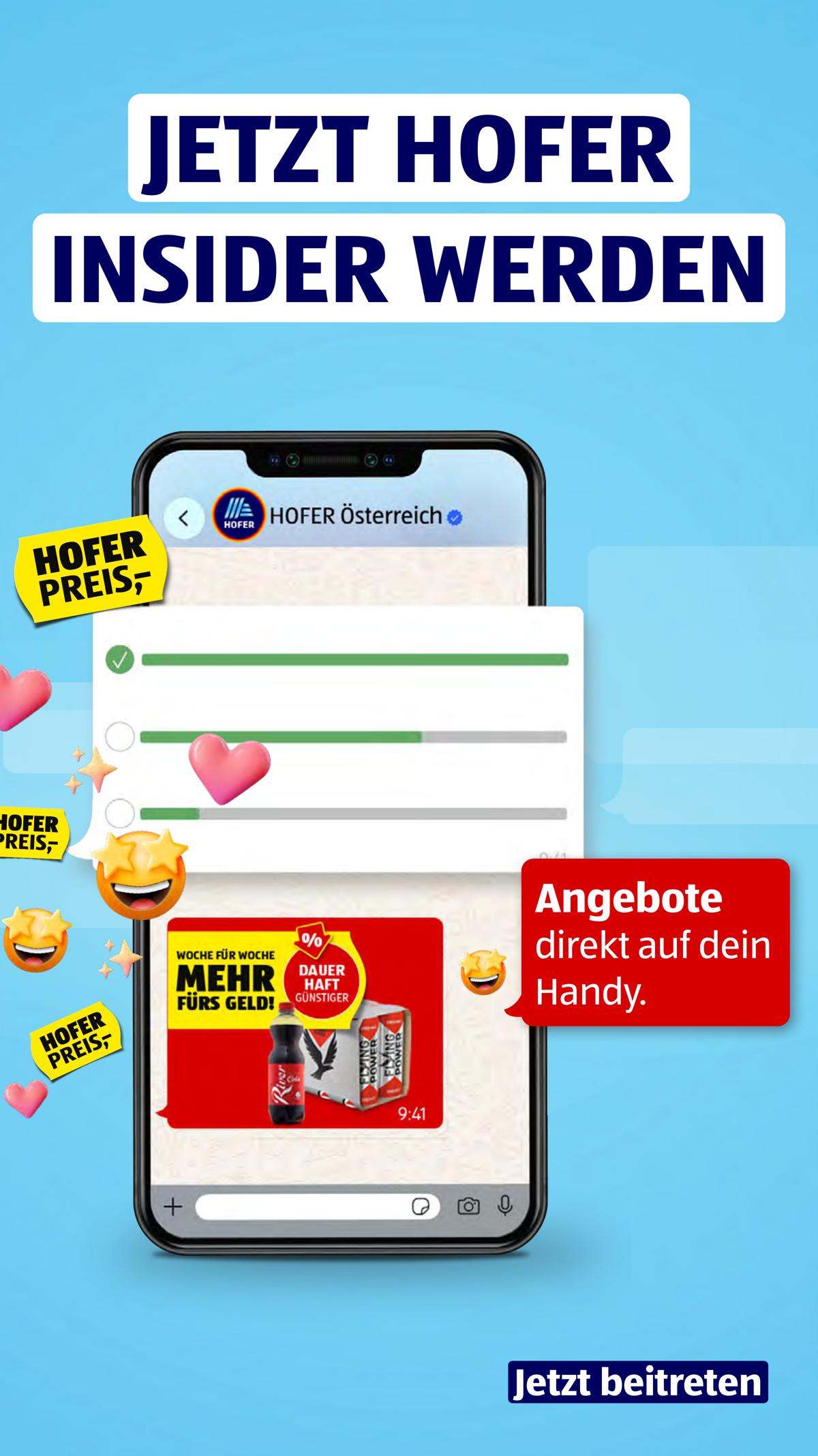 Hofer (AT) leaflet 033