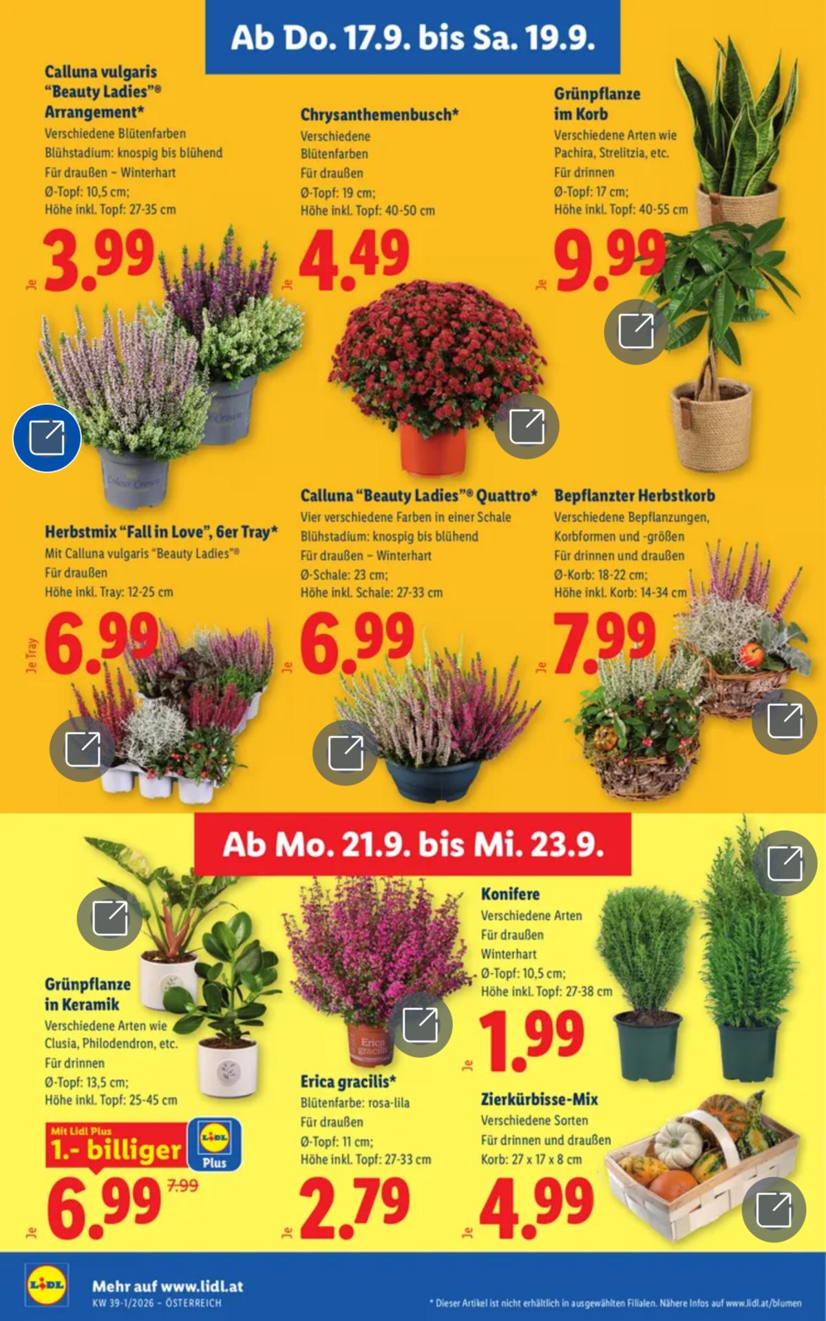 LIDL (AT) leaflet 028
