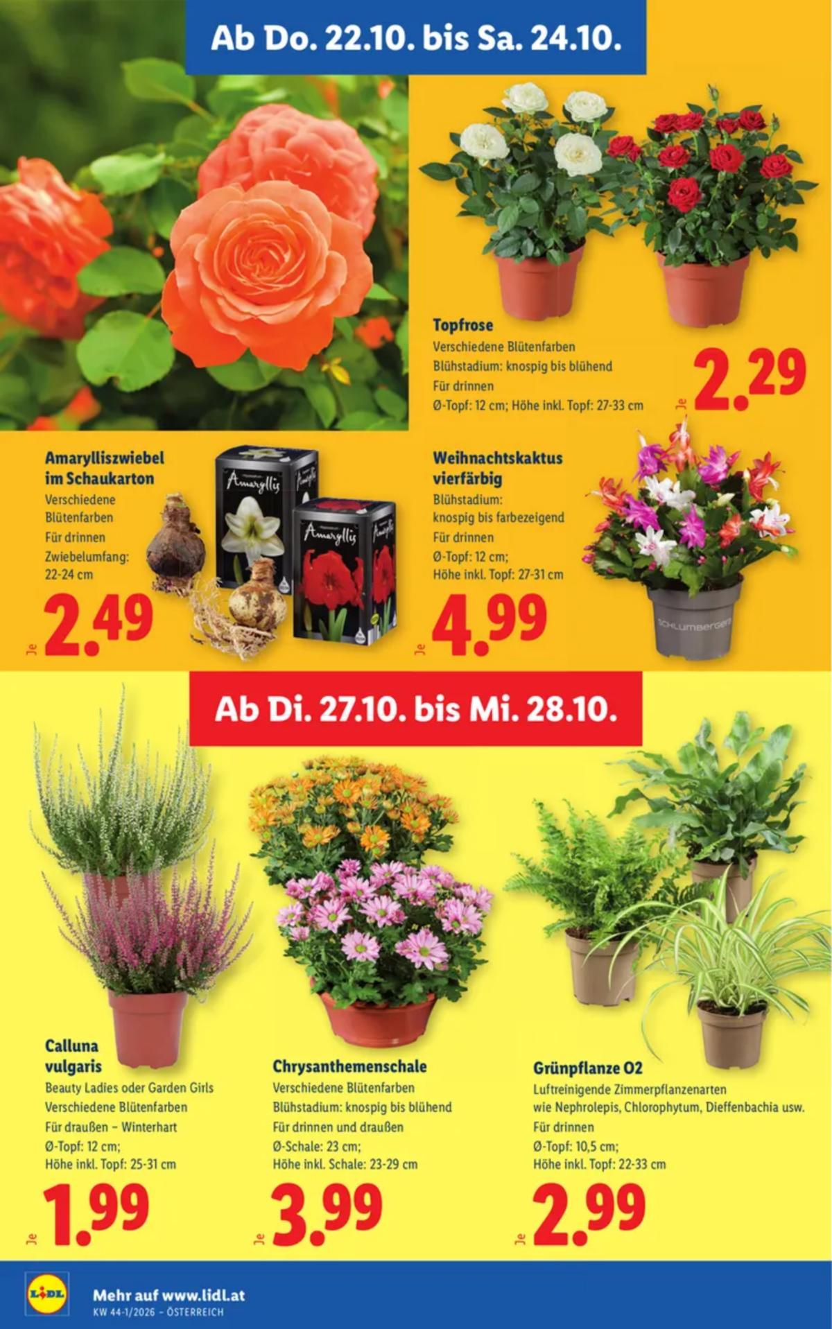 LIDL (AT) leaflet 032