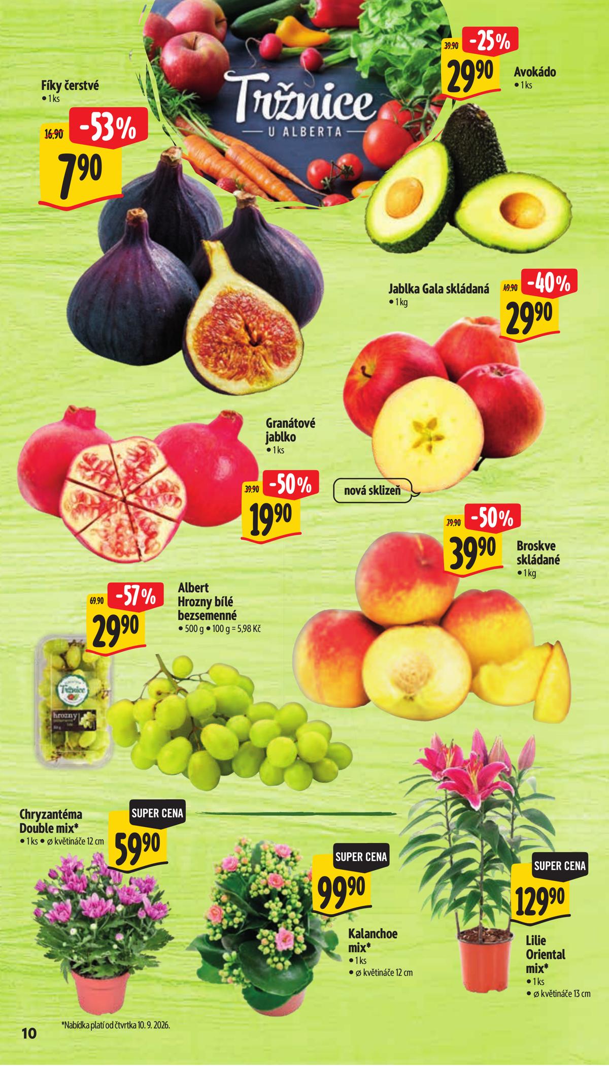 Albert (CZ) leaflet 018