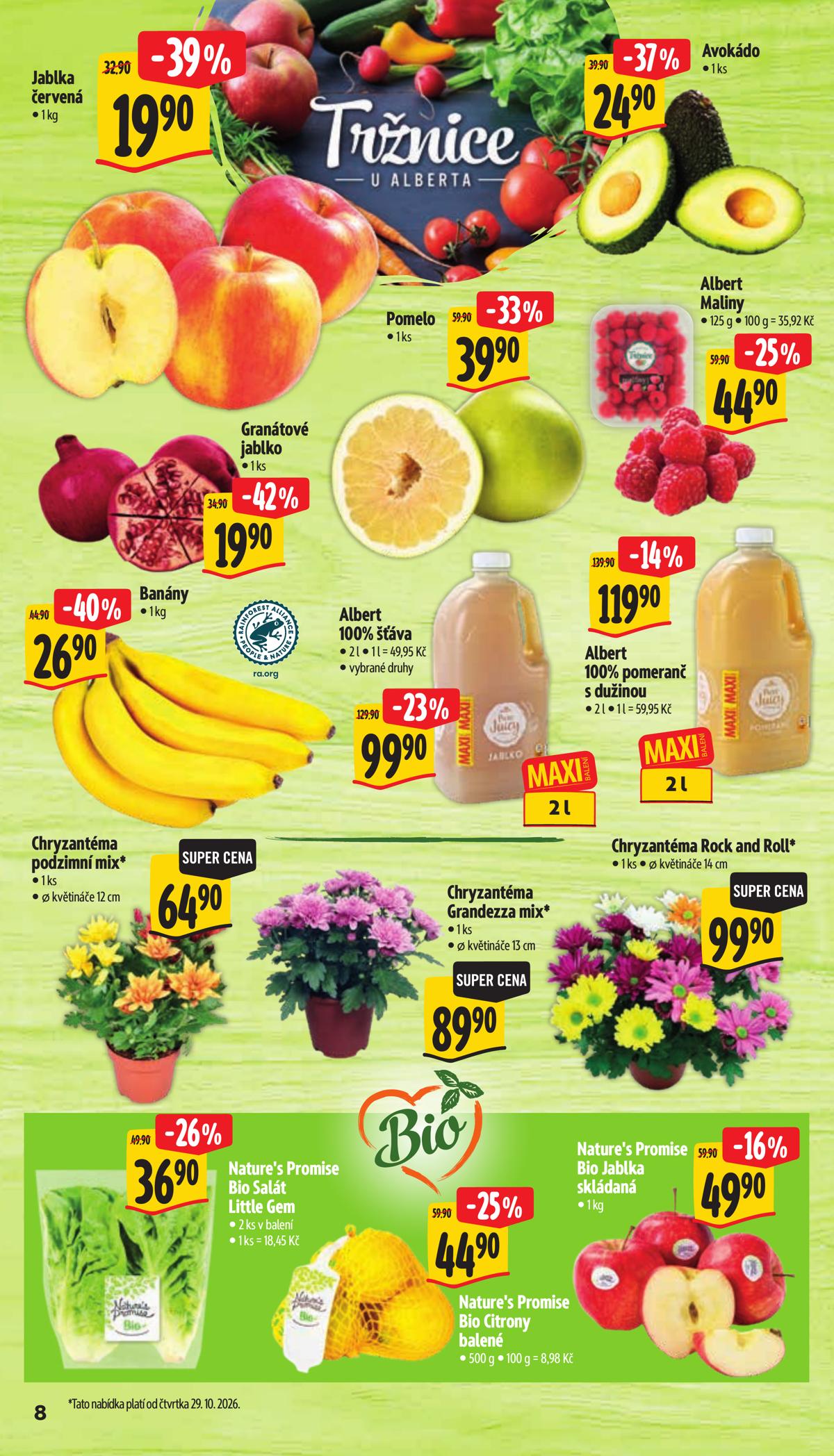 Albert (CZ) leaflet 014