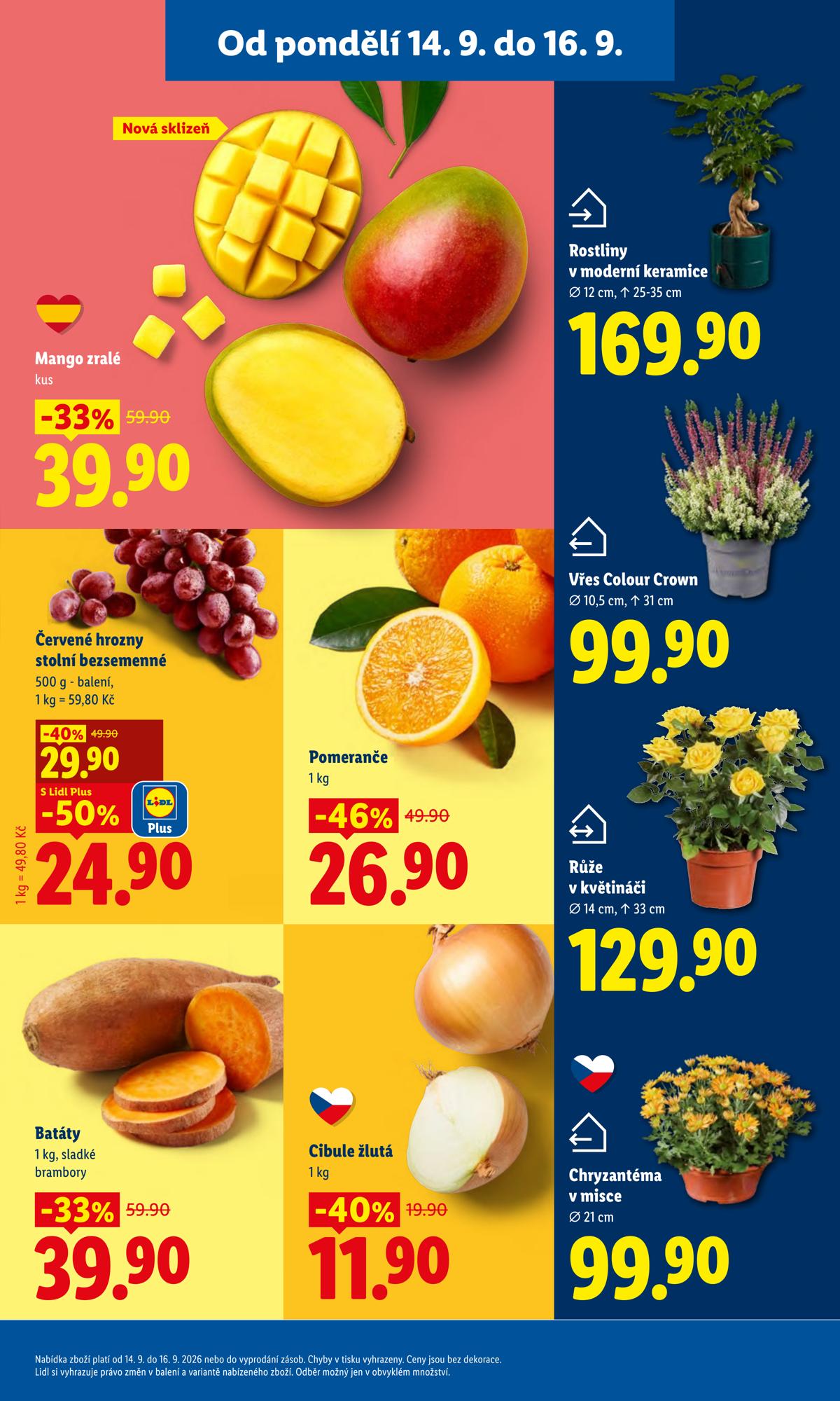 LIDL (CZ) leaflet 017