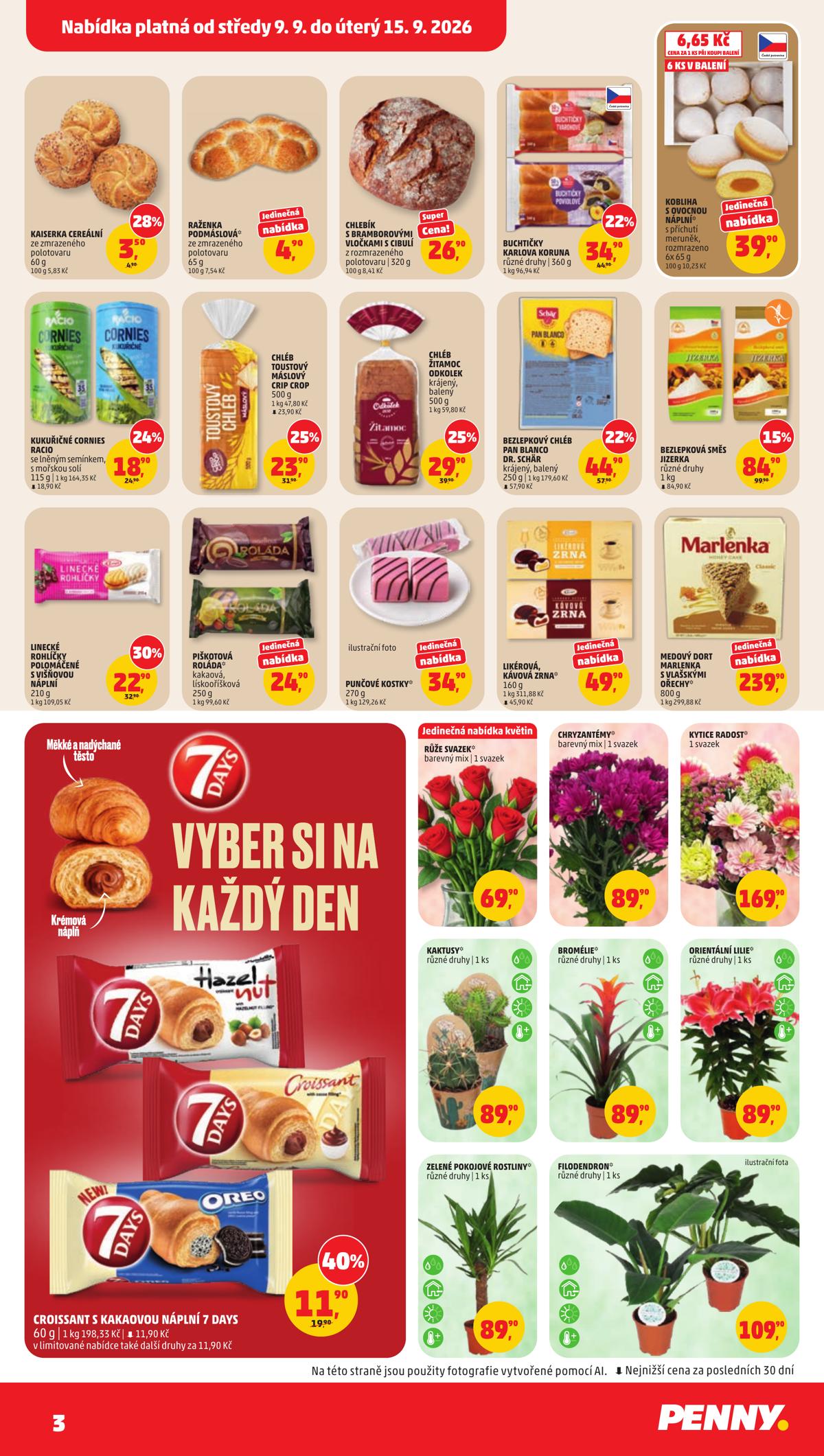 Penny (CZ) leaflet 003
