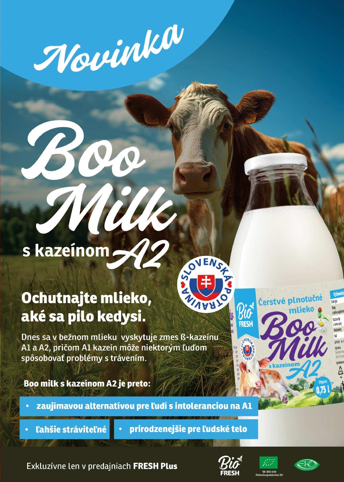 Fresh leaflet 021