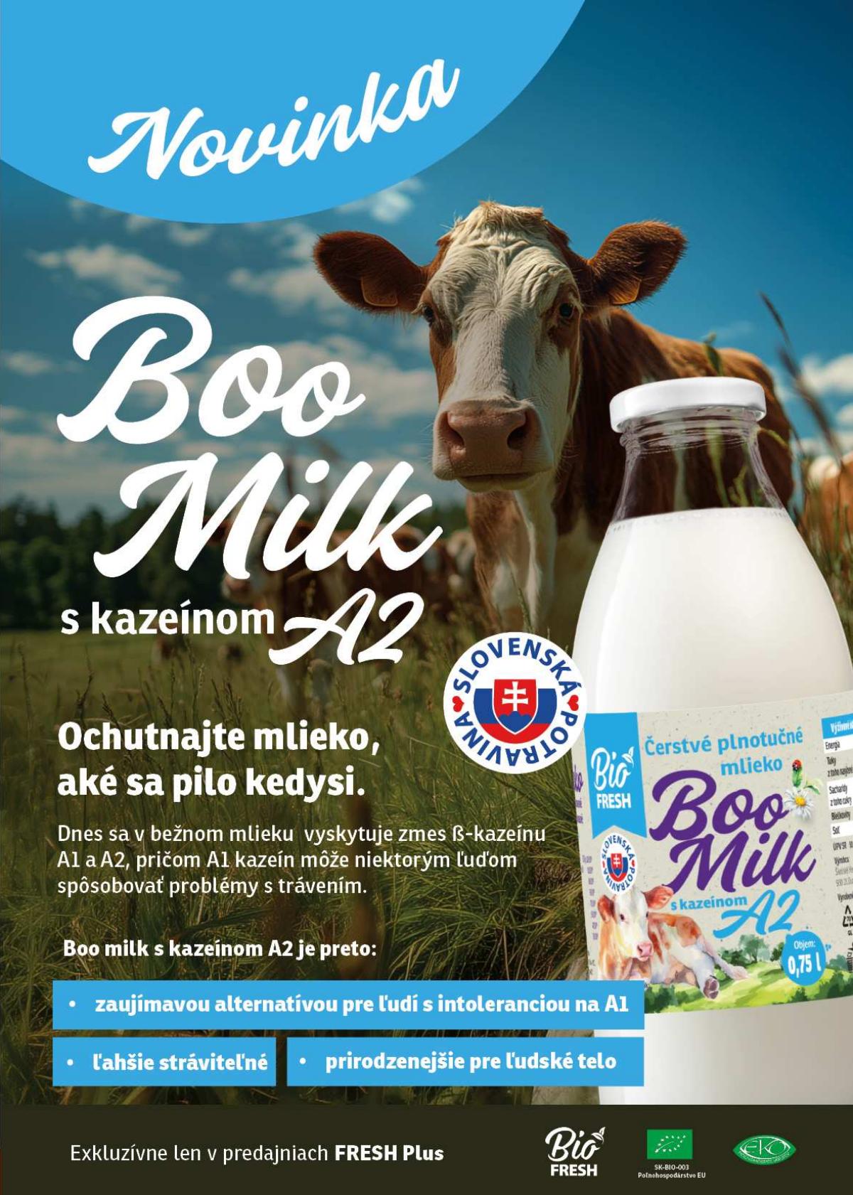 Fresh leaflet 019