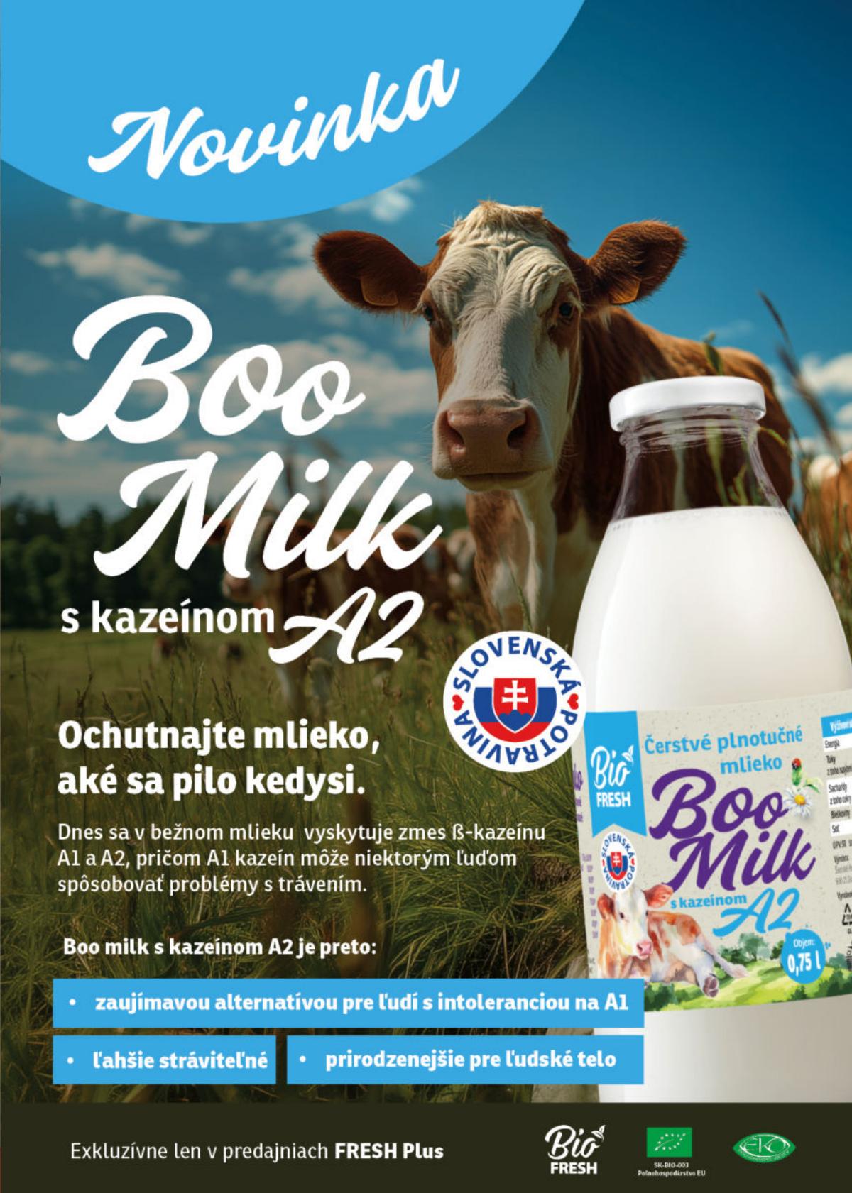 Fresh leaflet 025