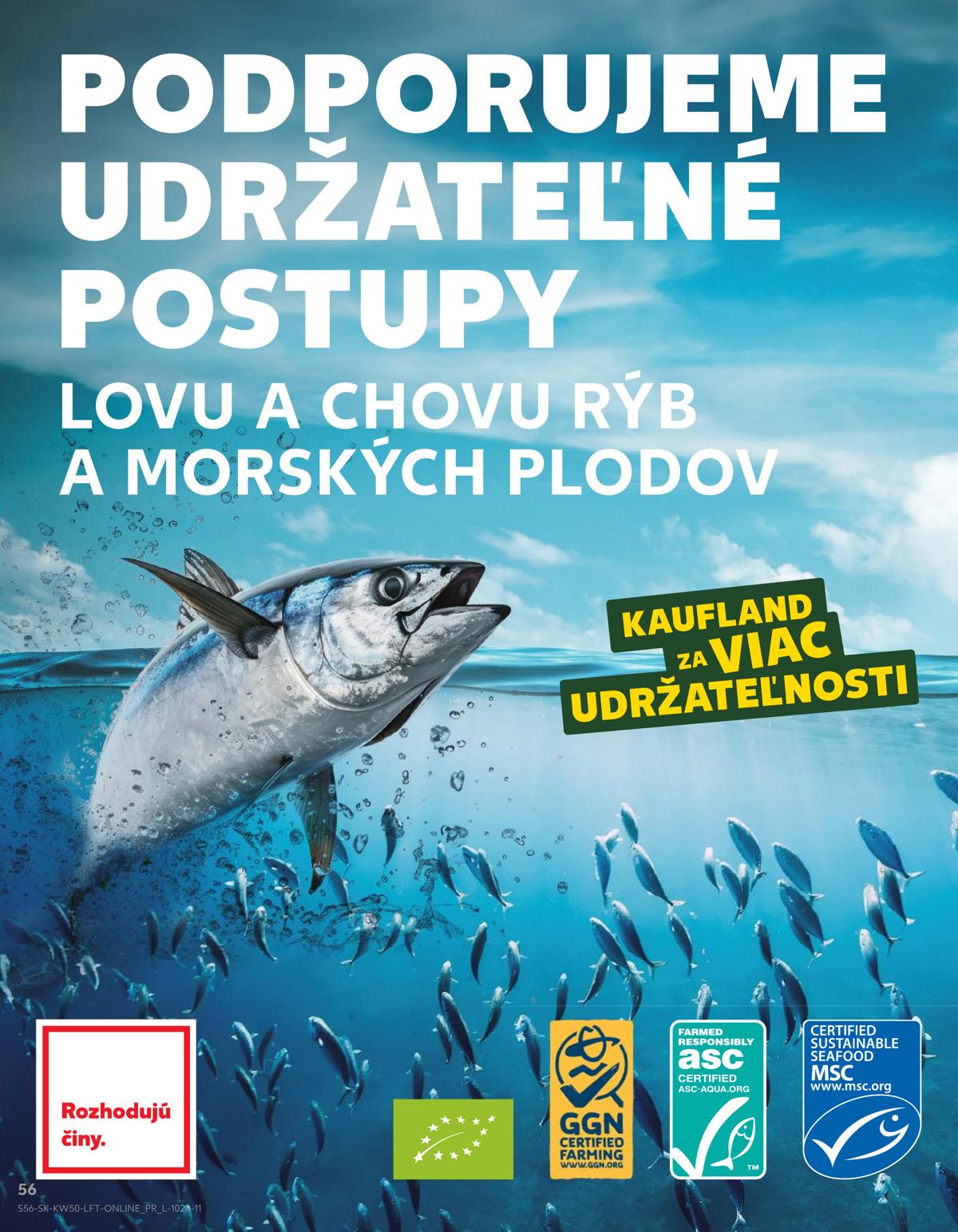 Kaufland leaflet 57